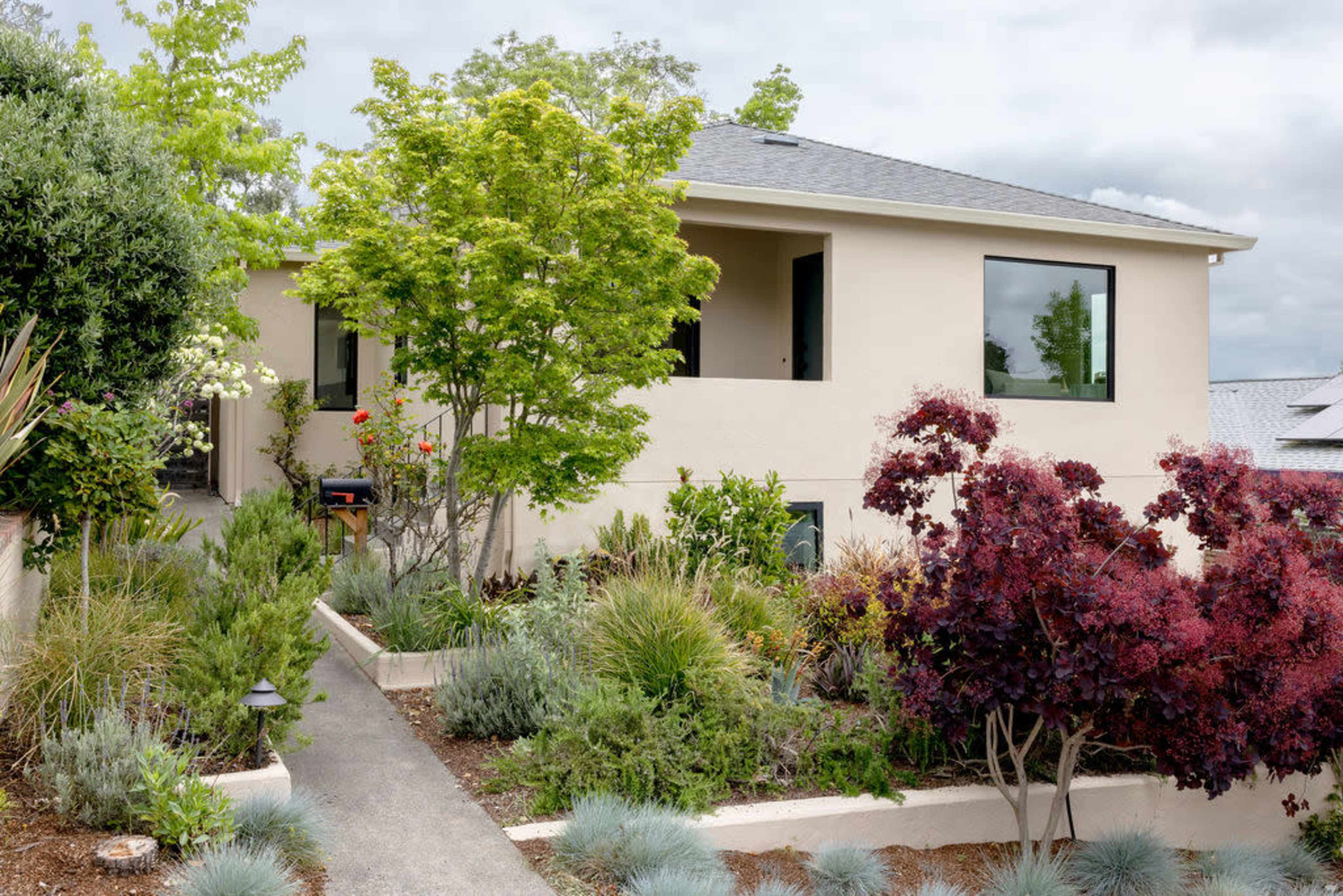 A modern single-story house with large windows is surrounded by a landscaped garden featuring various shrubs and trees.