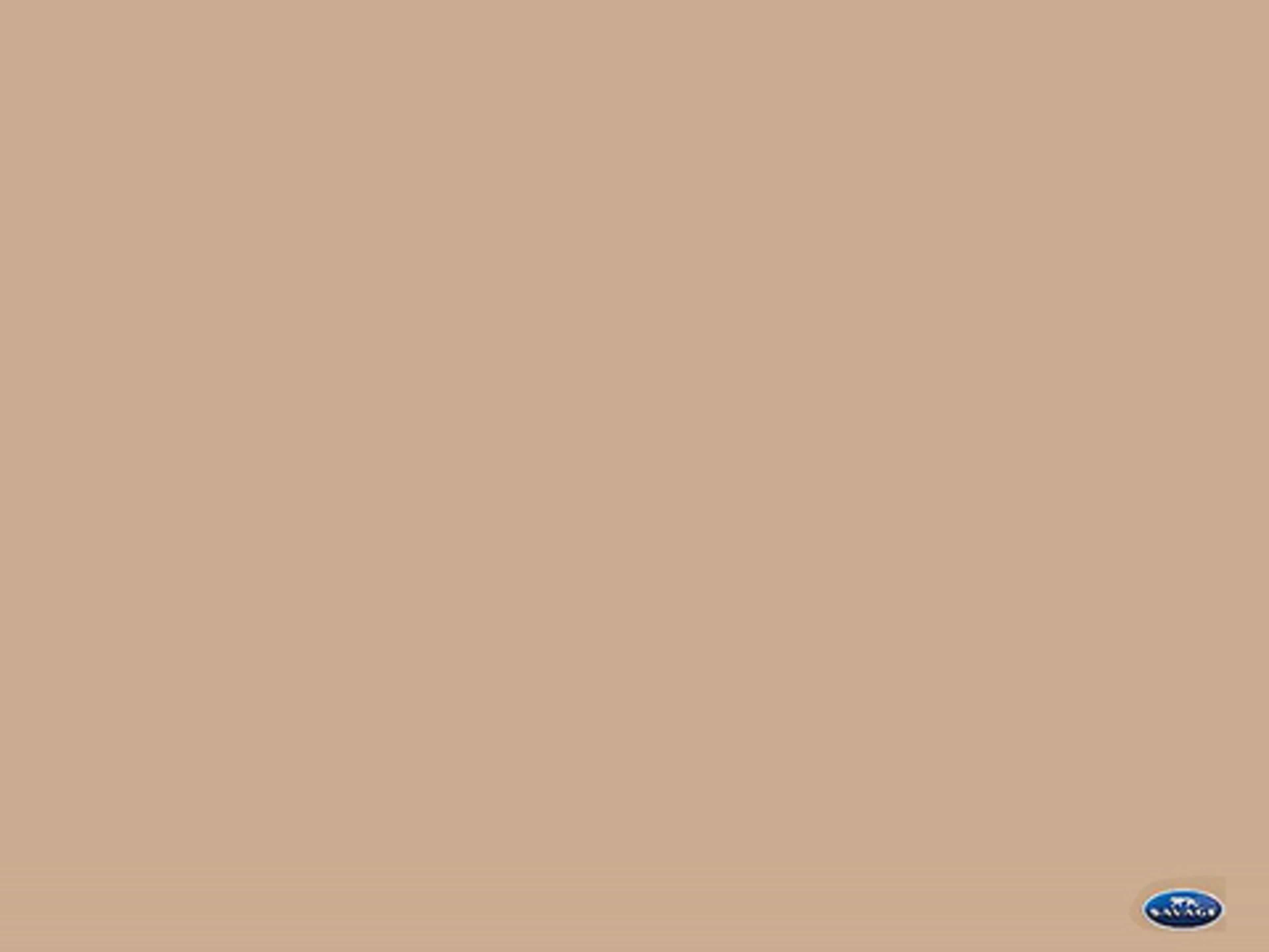 #76 Mocha Backdrop Paper