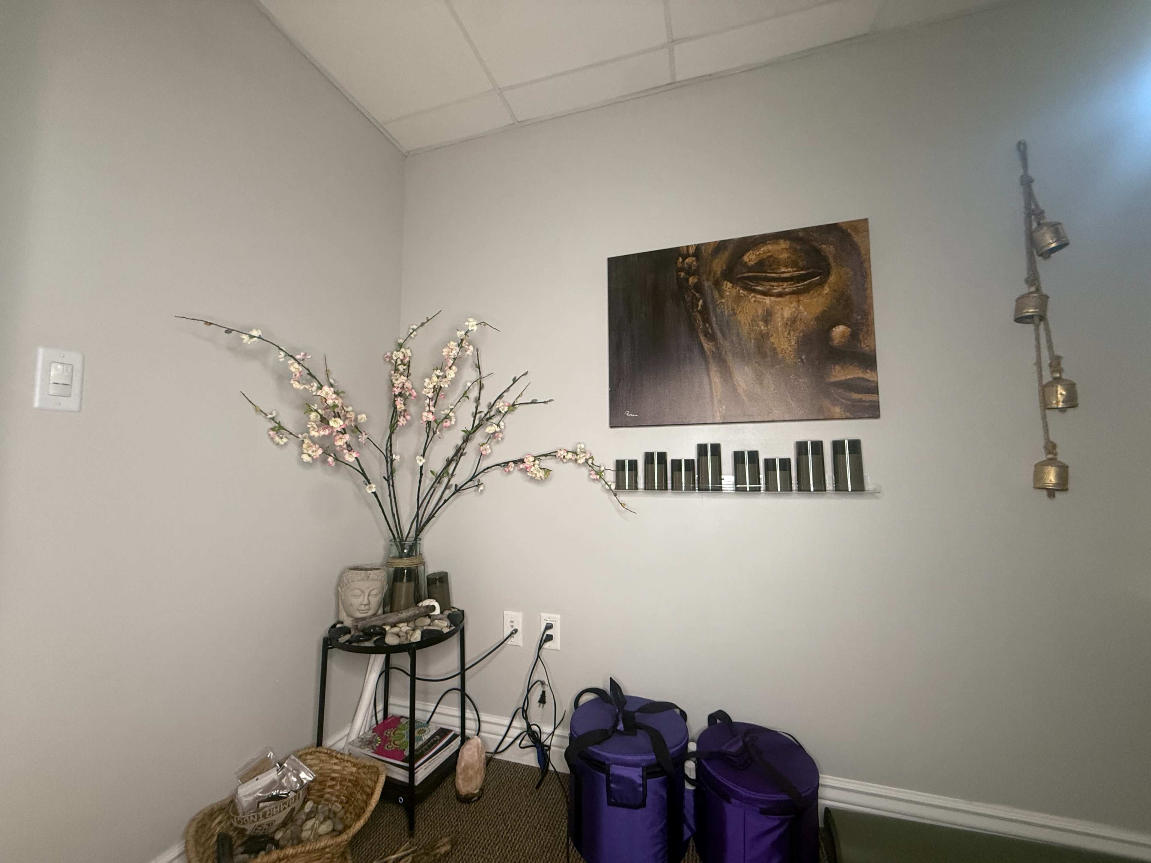 A quiet and serene studio space tucked near the Willow Glen neighborhood, offering a peaceful setting for your practice. Image in Willow Glen, SAN JOSE, CA