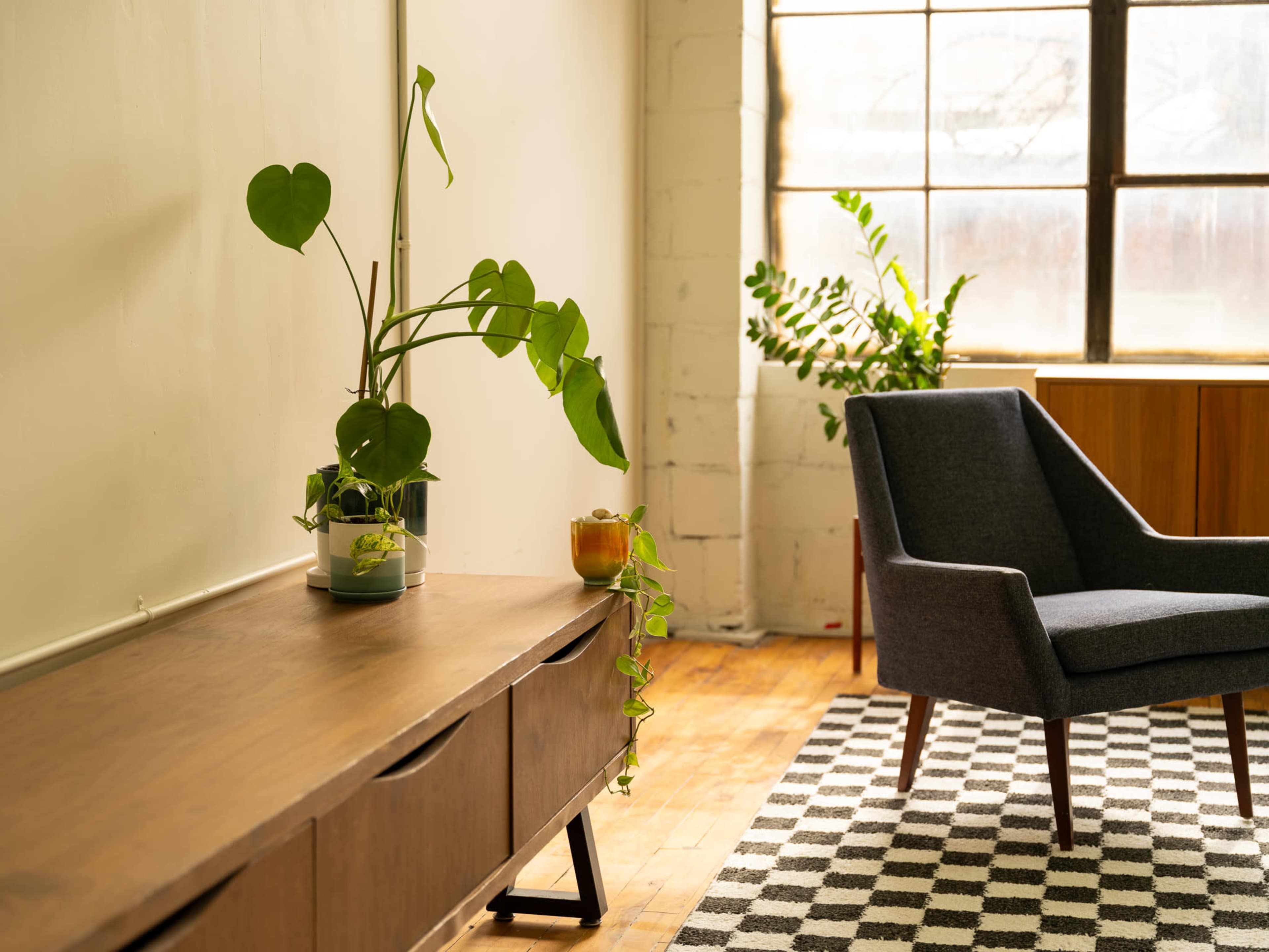 A plant sits on a wooden sideboard next to a gray armchair in a room illuminated by large windows.
