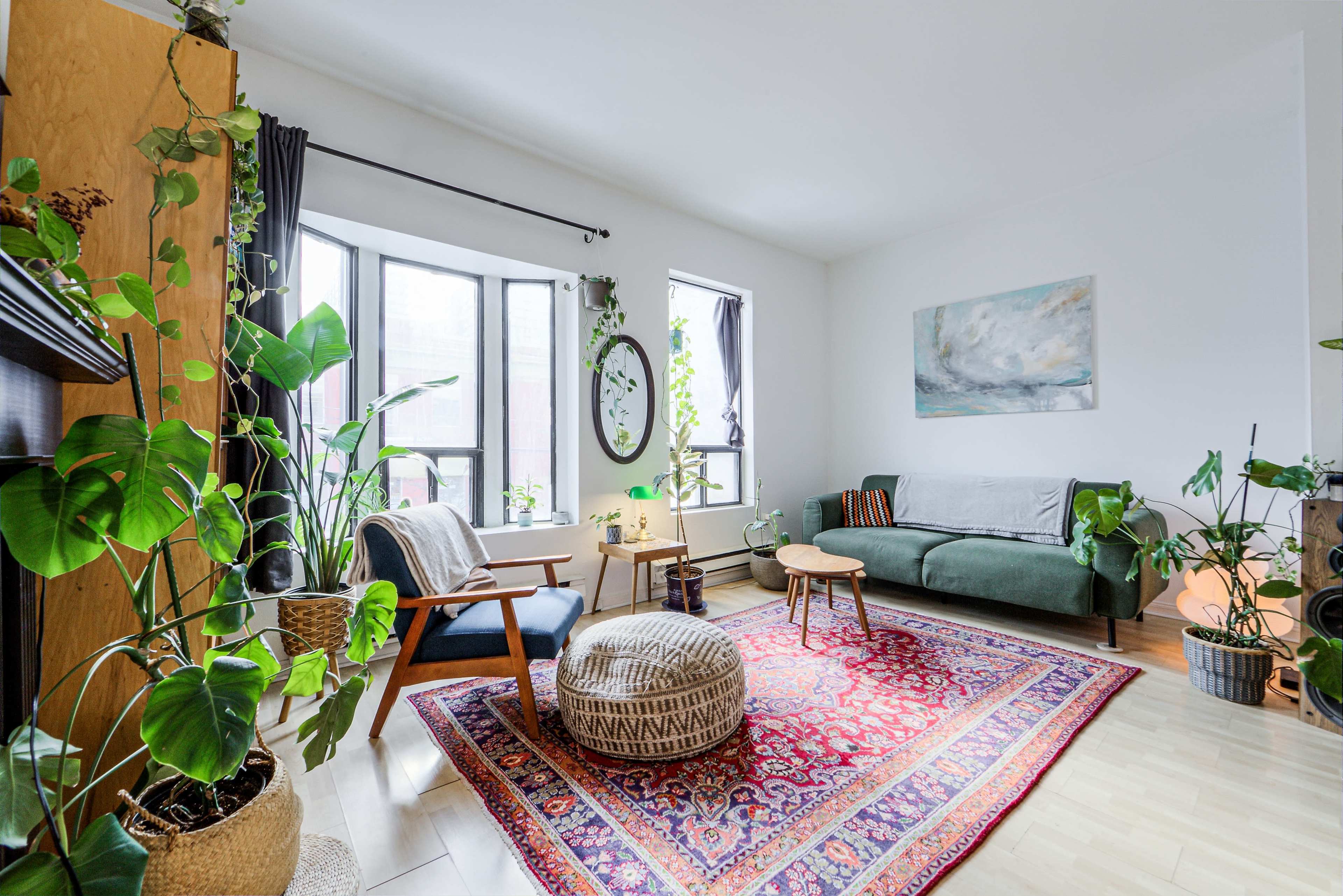 The image shows a bright living room featuring a green couch, a patterned area rug, several potted plants, and large windows.
