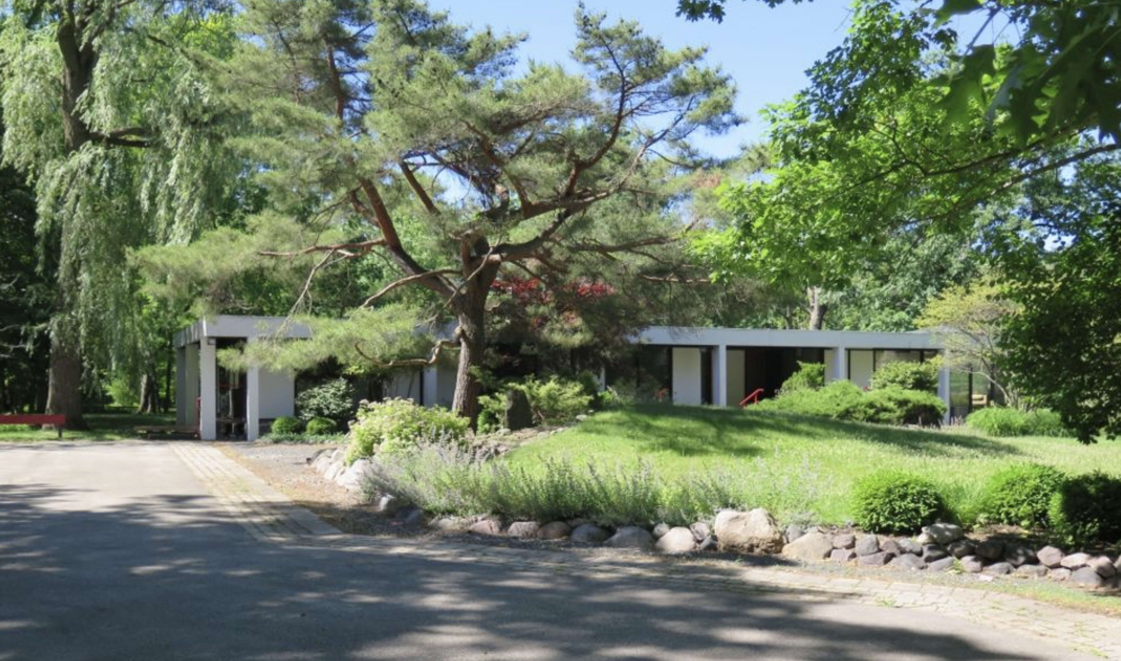 A modern house with a flat roof is set amidst lush greenery and landscaping.