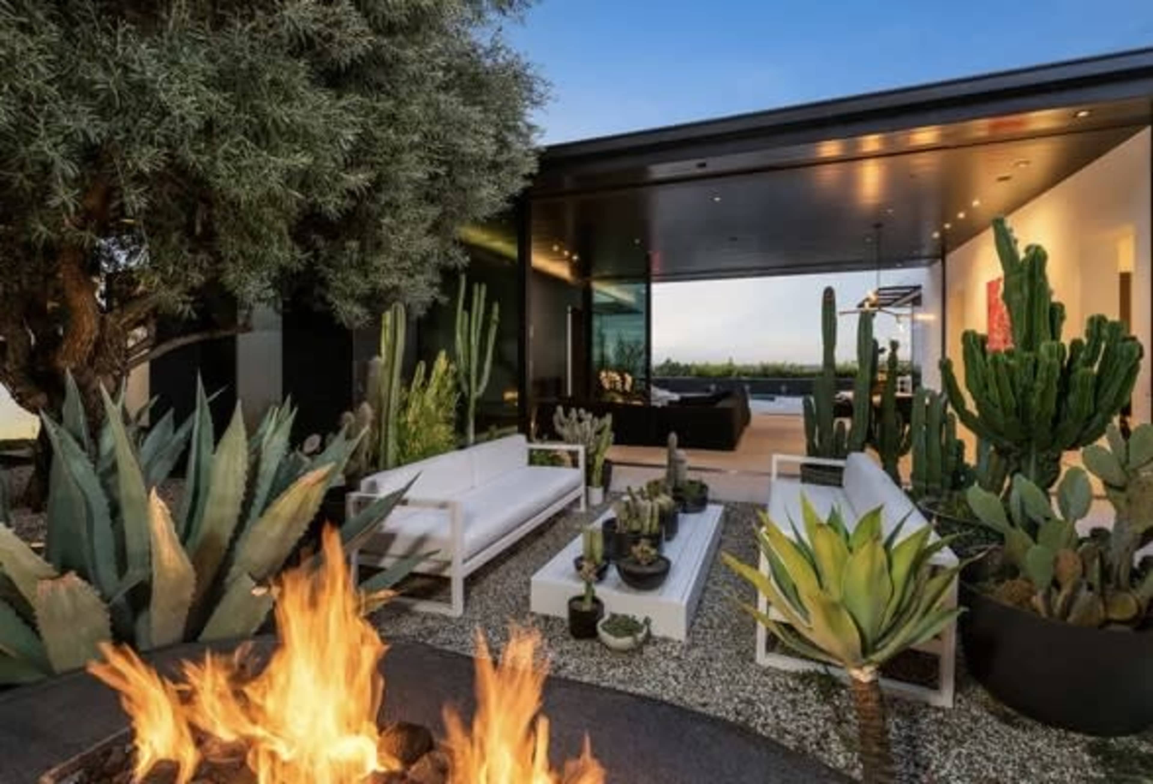 The image shows a modern outdoor seating area surrounded by various cacti and succulents, with a fire pit in the center.