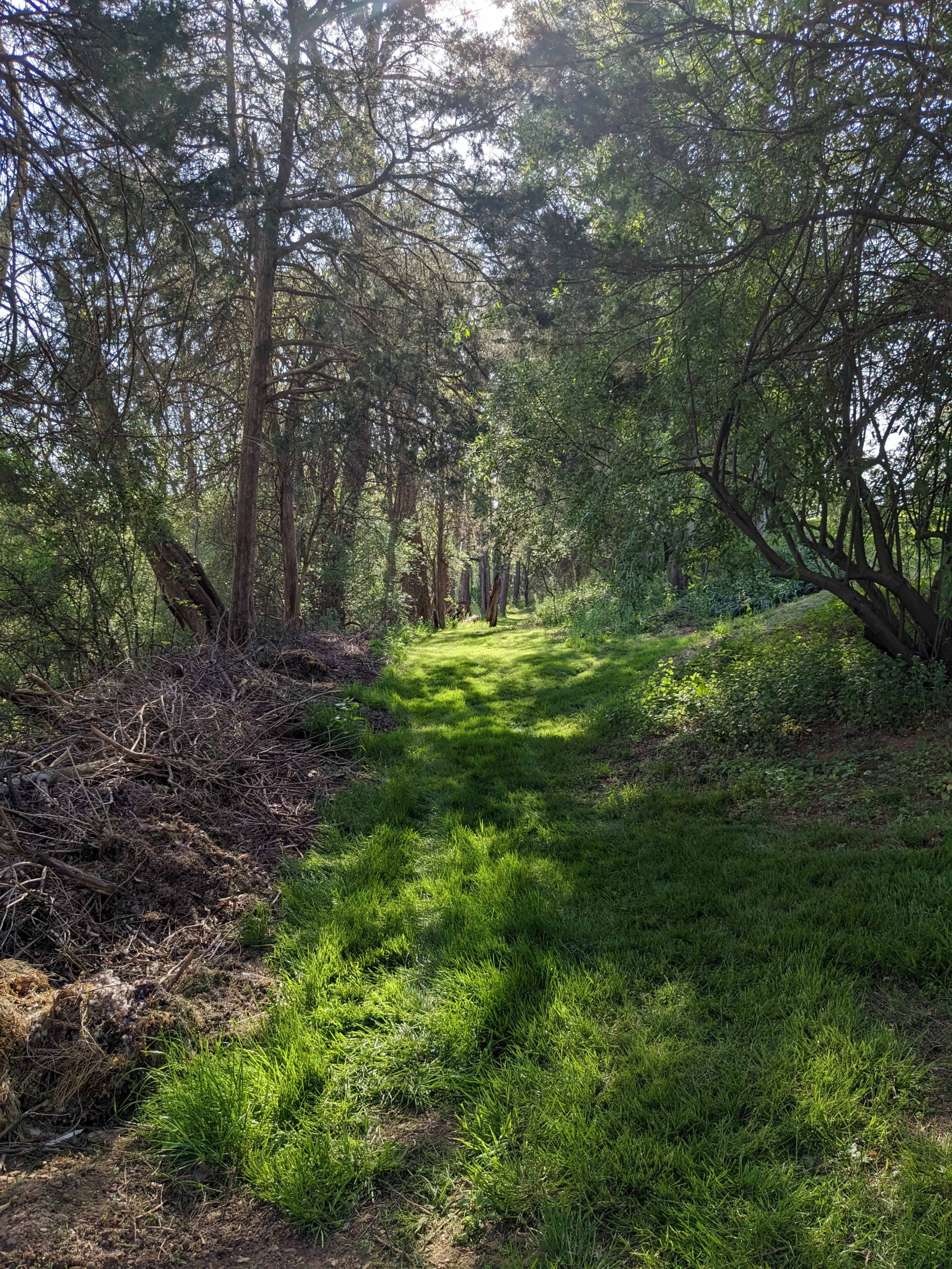 A narrow, grassy path is flanked by trees and brush, leading into a wooded area.