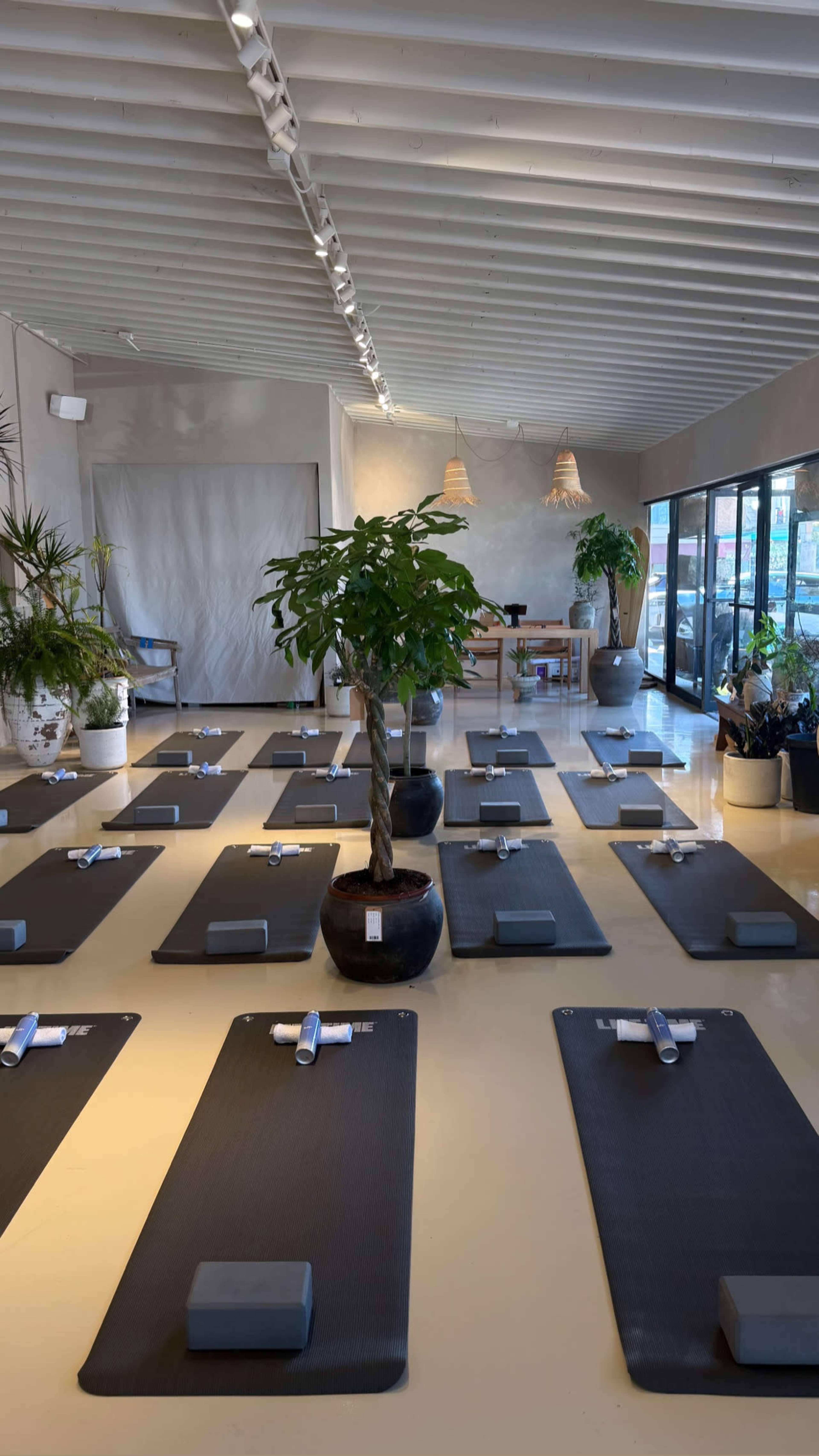 The image shows a spacious yoga studio with neatly arranged mats and blocks, complemented by indoor plants and natural lighting.