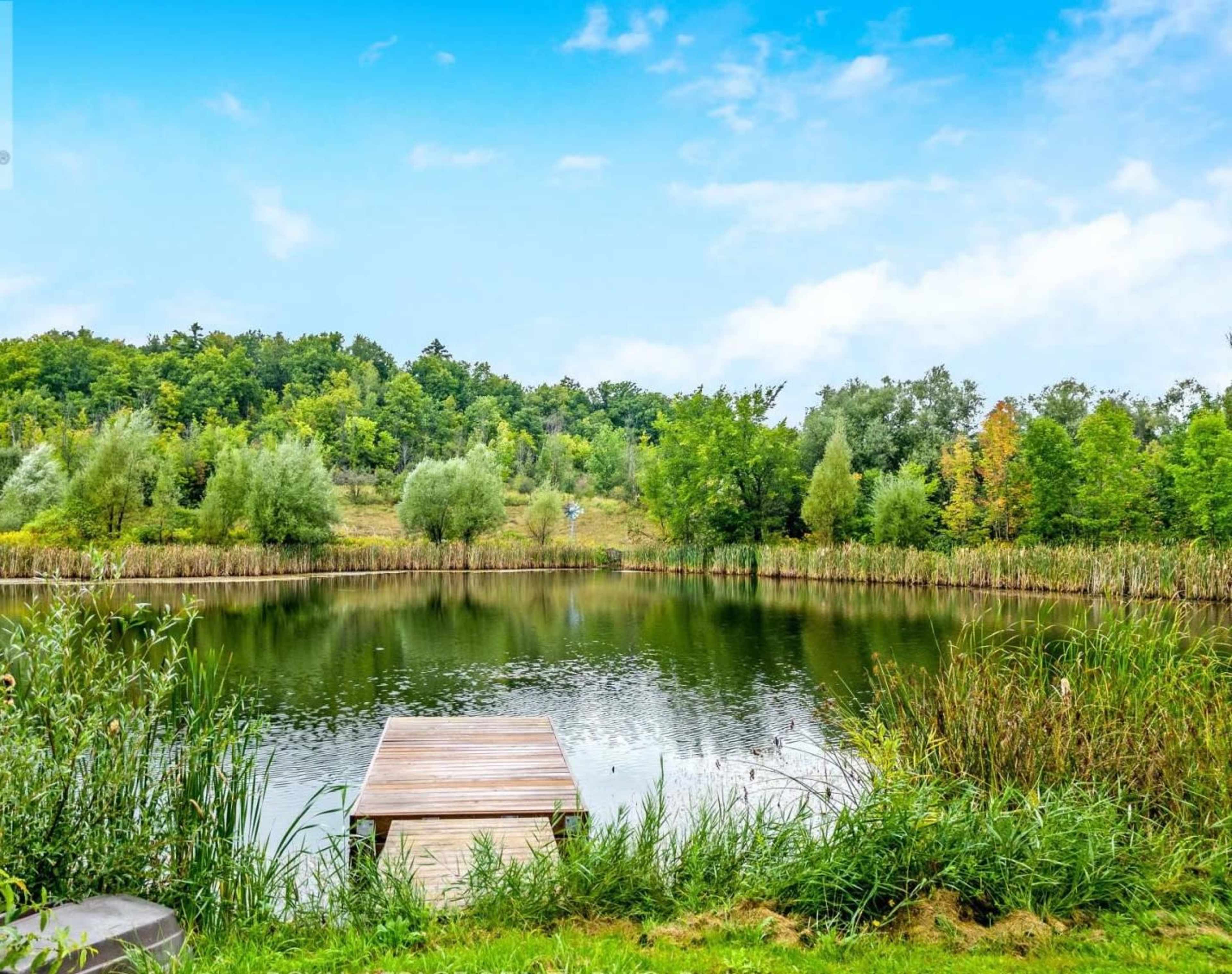 A wooden dock extends into a still pond surrounded by lush greenery and trees under a blue sky.