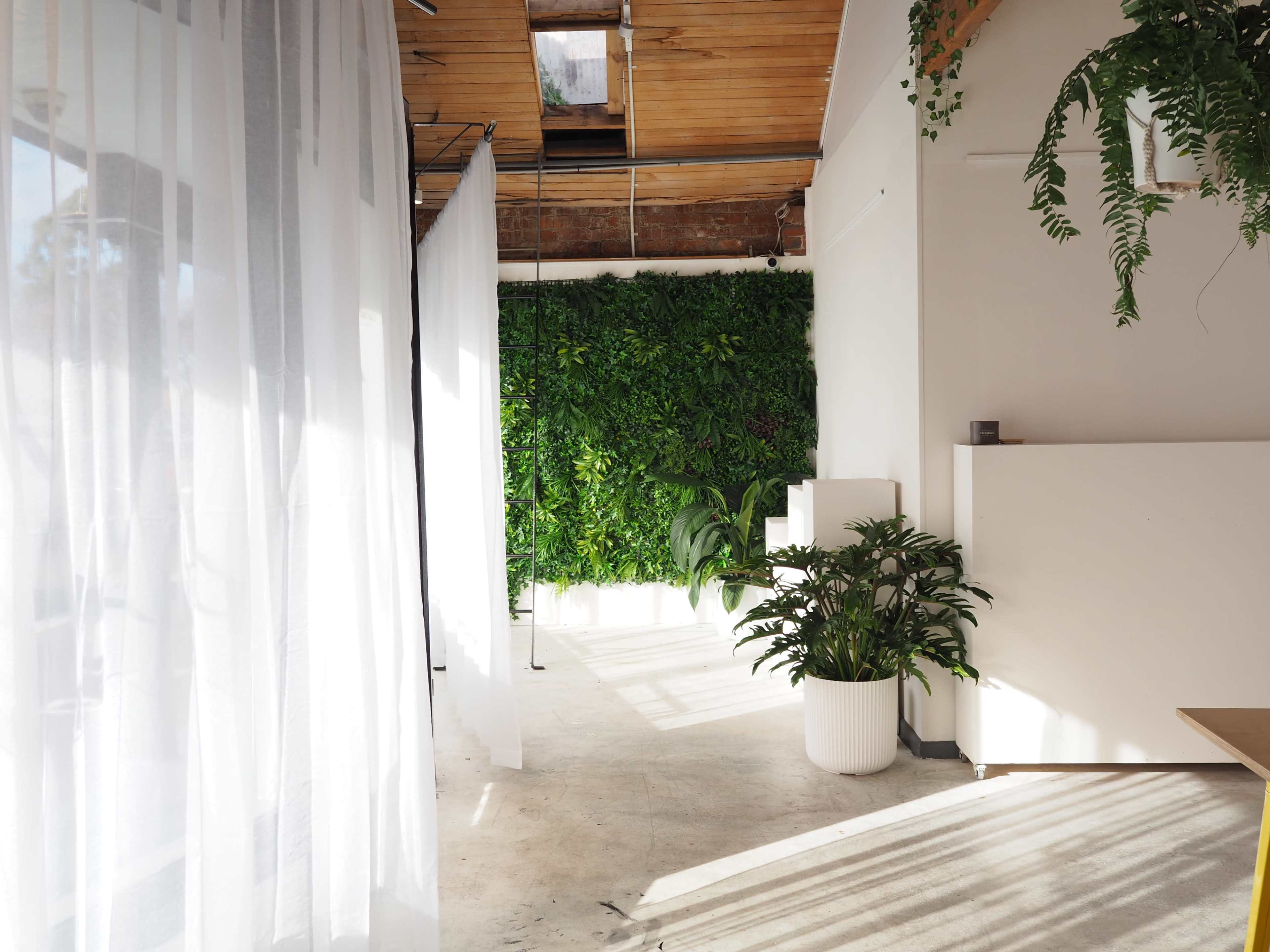 The image shows a bright, modern interior space with white drapes, a green vertical plant wall, and natural light streaming through the windows.