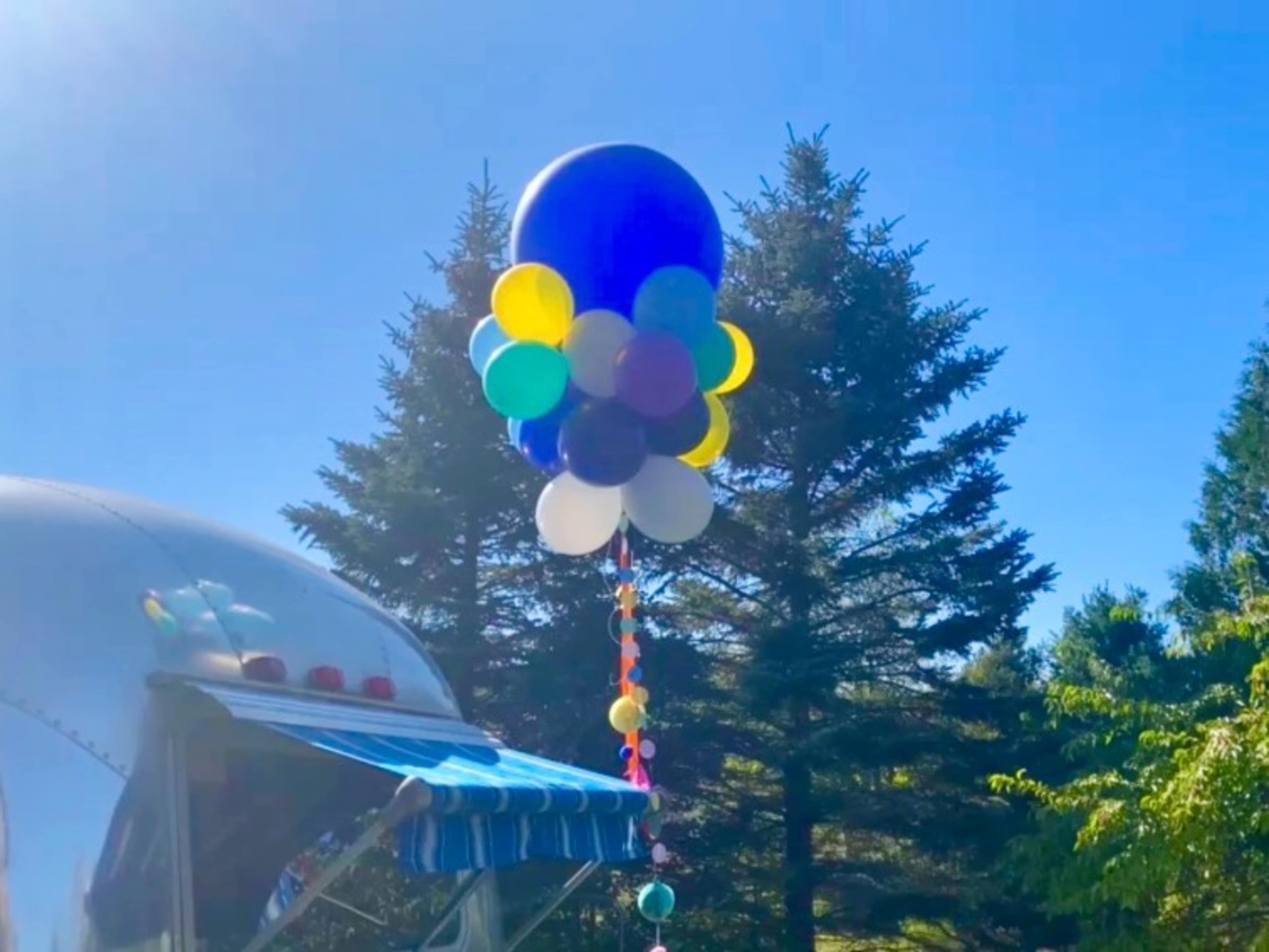 Balloon Decor