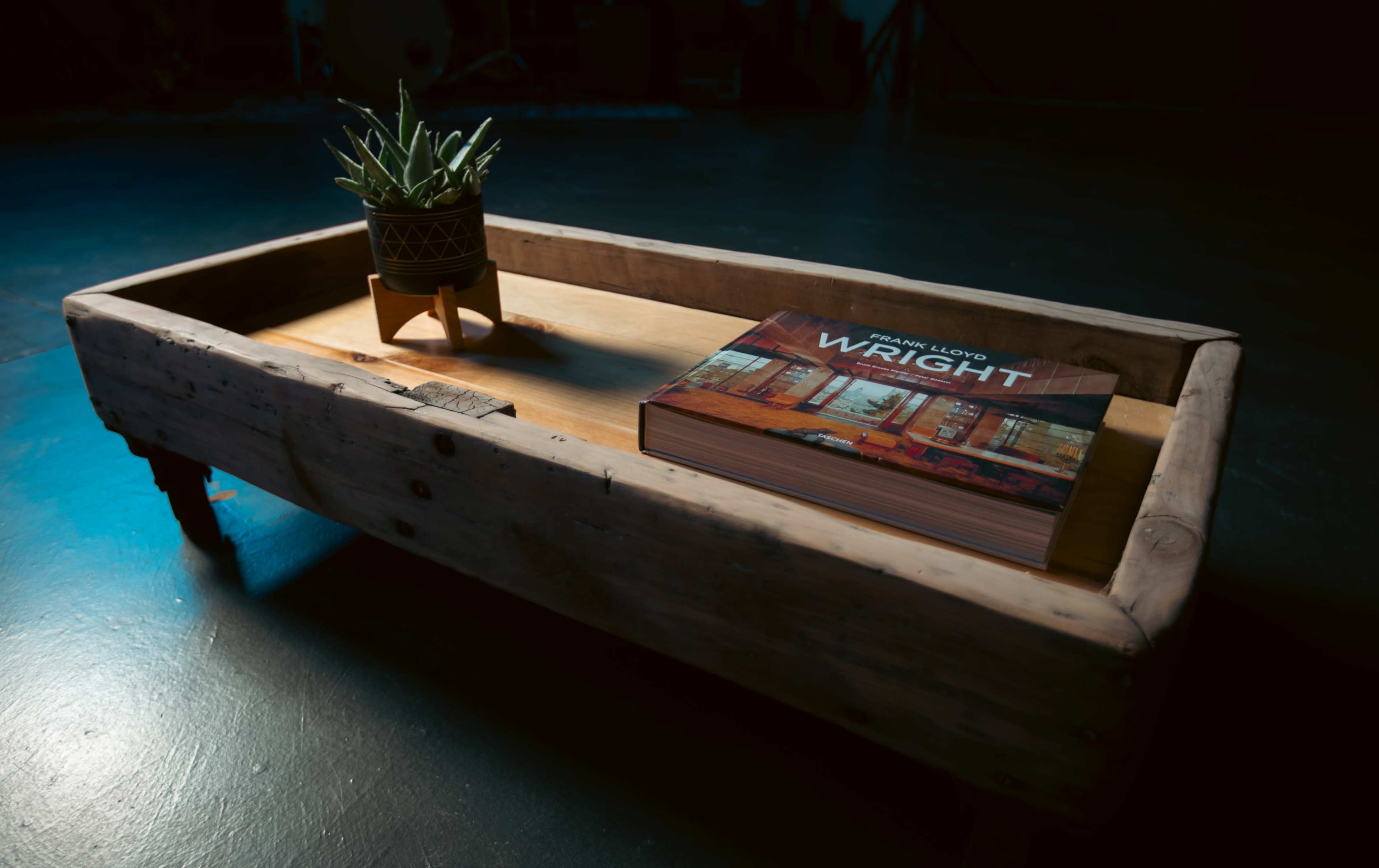 A wooden coffee table holds a book about Frank Lloyd Wright and a potted plant in a dimly lit space.