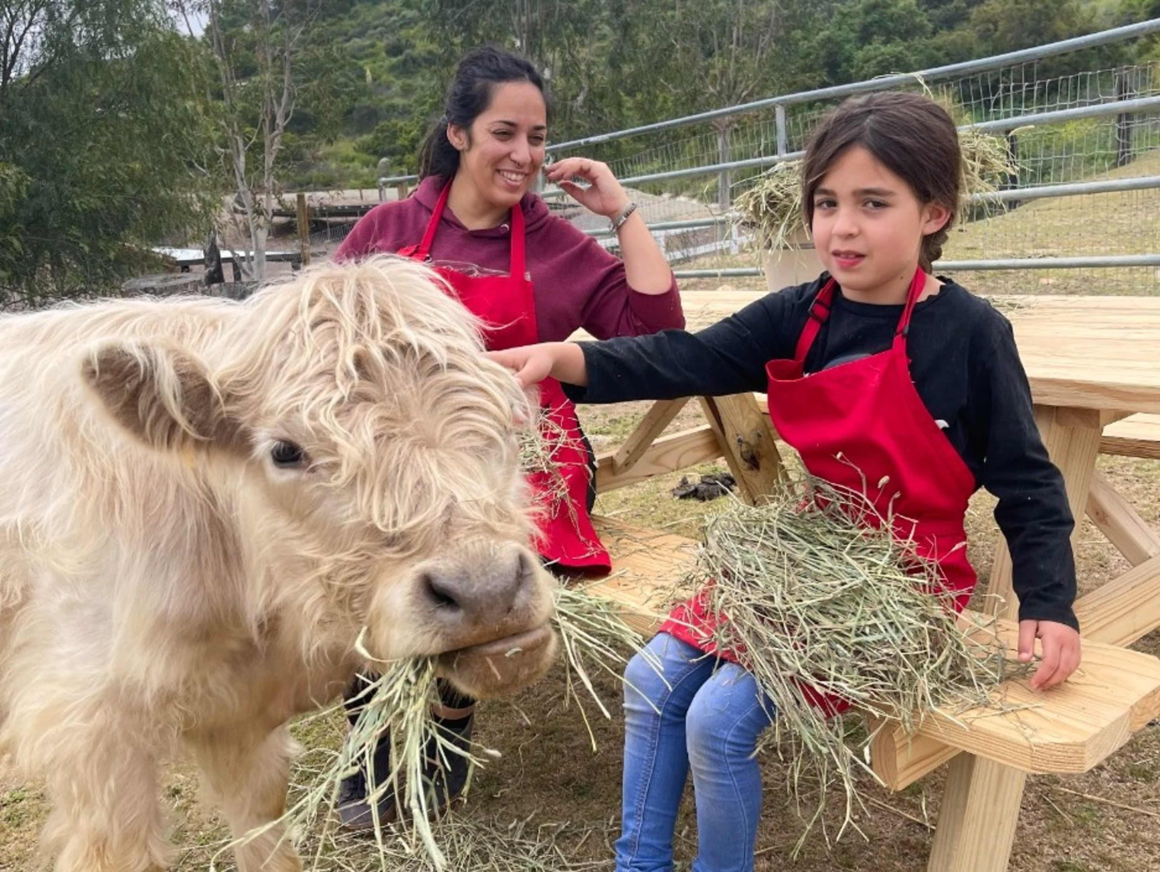 Farm Animal Encounter with Photo Opportunities