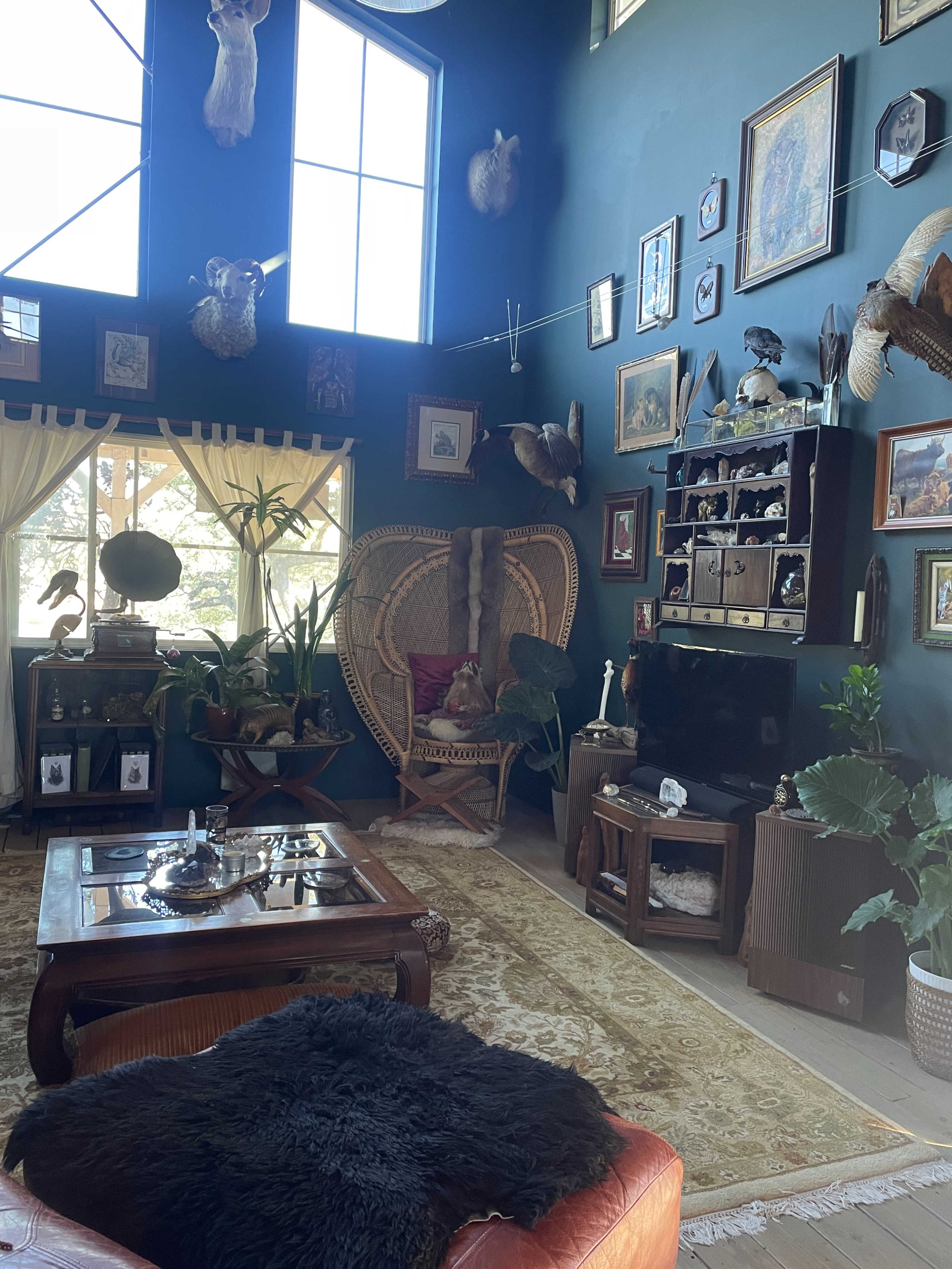 The room features a large, dark green wall adorned with various framed artworks and mounted animal heads, along with a woven chair, plants, and a coffee table in front of a television unit.