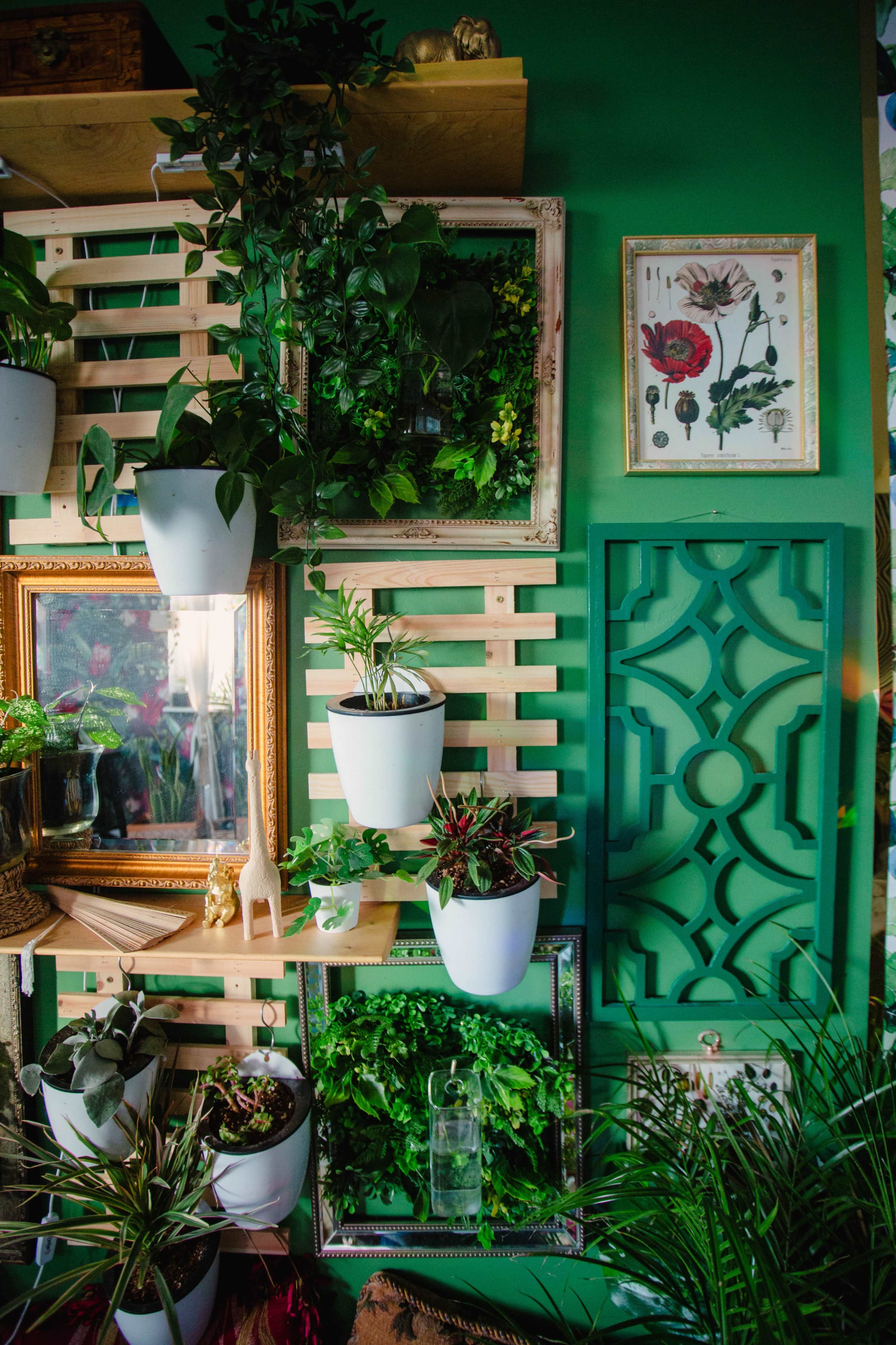 A vertically arranged display of plants in white pots against a green wall, complemented by decorative frames and a wooden lattice.