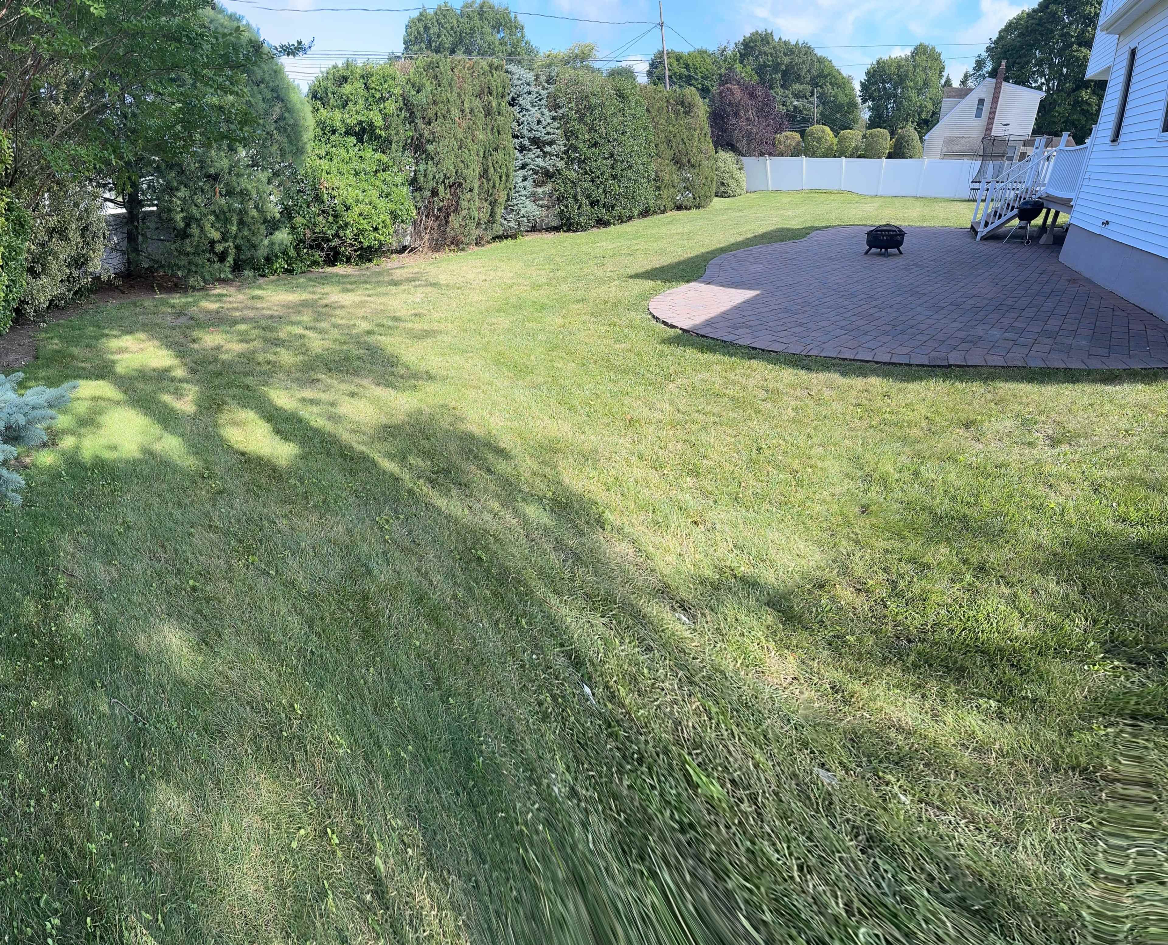 A grassy yard is bordered by trees and shrubs, leading to a paved patio area.