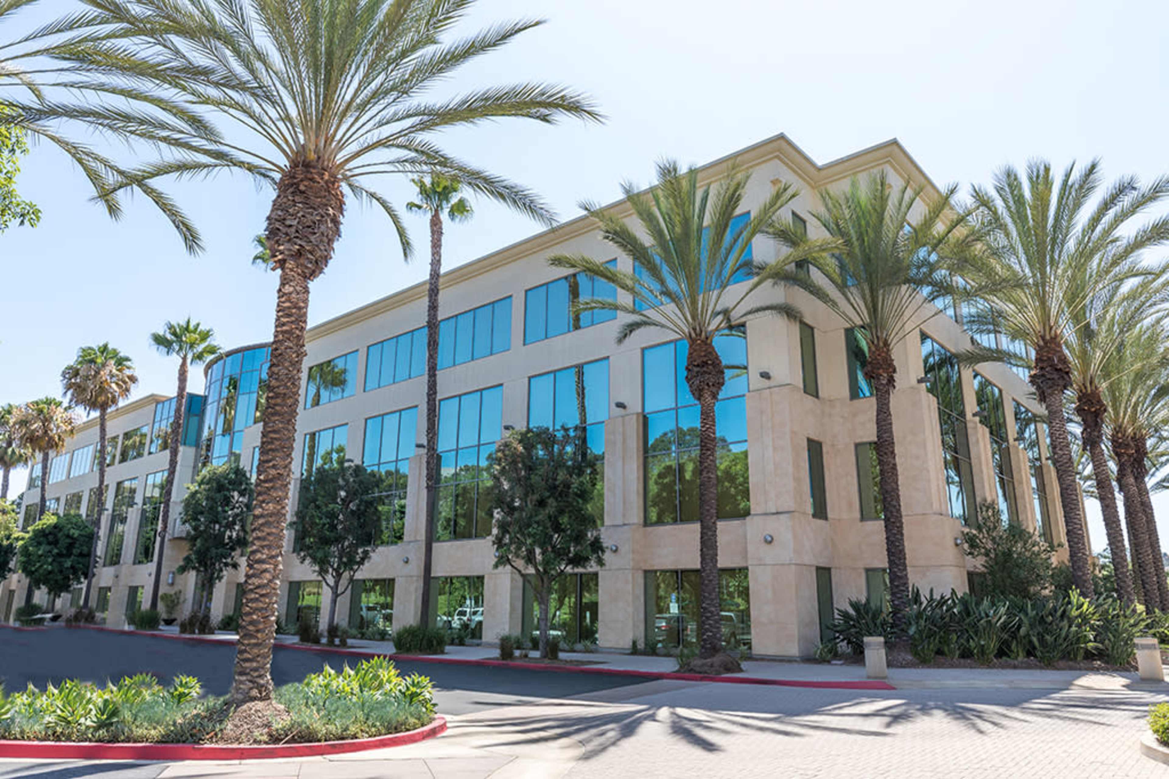 A modern office building with large glass windows is surrounded by palm trees and landscaped vegetation.