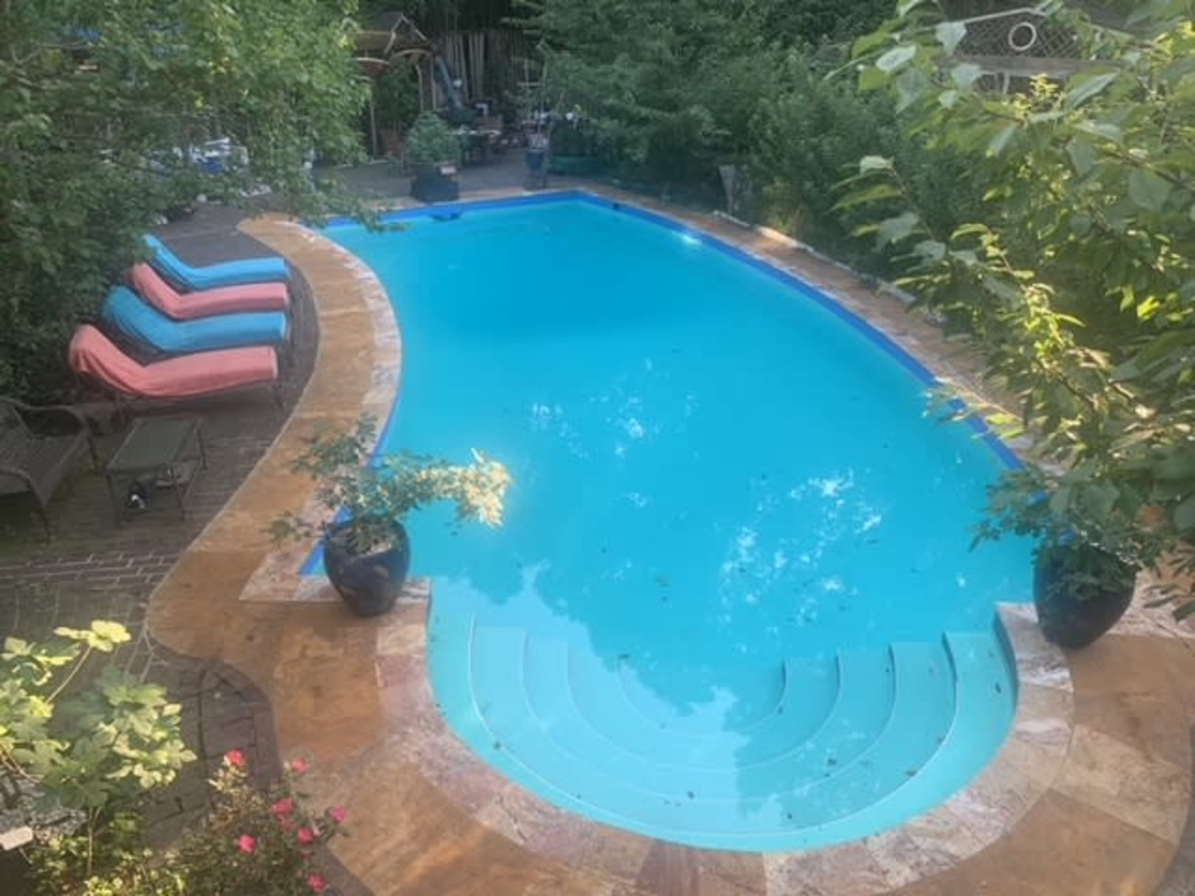 A swimming pool surrounded by lounge chairs and greenery in a backyard setting.