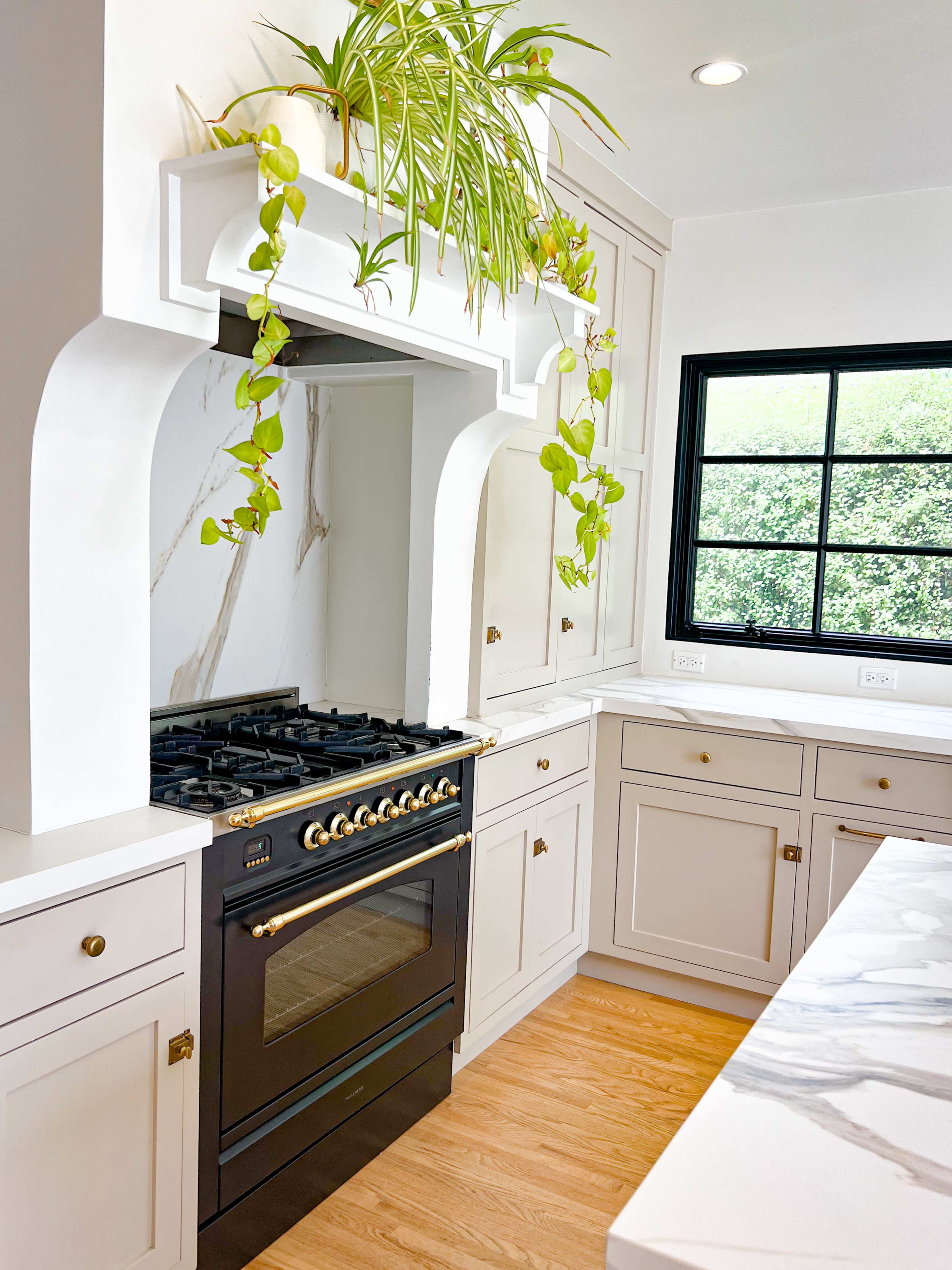 A modern kitchen features a black gas range surrounded by white cabinetry and a marble countertop, with greenery hanging above.