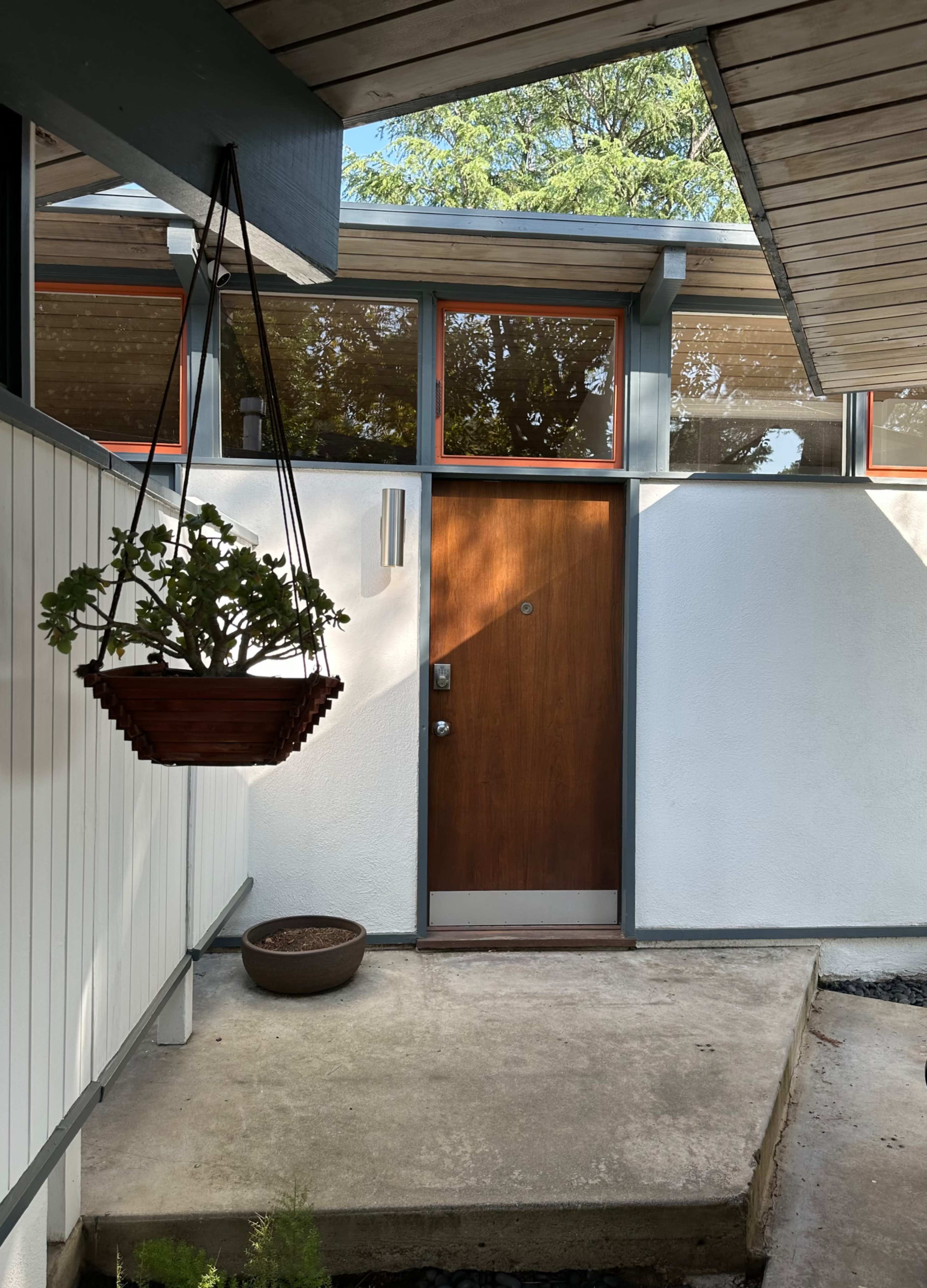 A modern entrance with a wooden door, surrounded by a white wall, a hanging plant, and a concrete pathway.