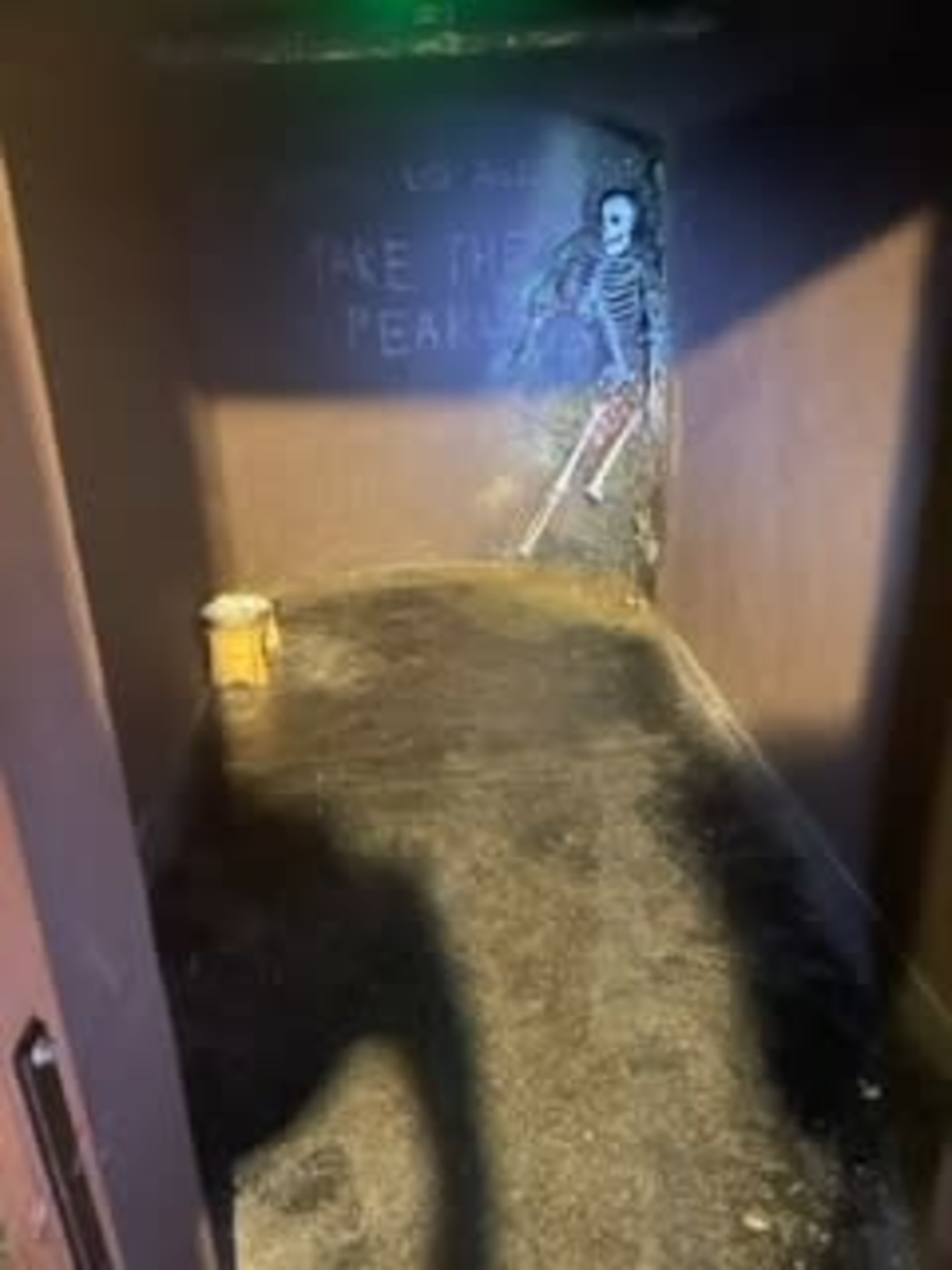 The image shows a dimly lit passage with a mural of a skeleton on the wall and a bucket on the floor.
