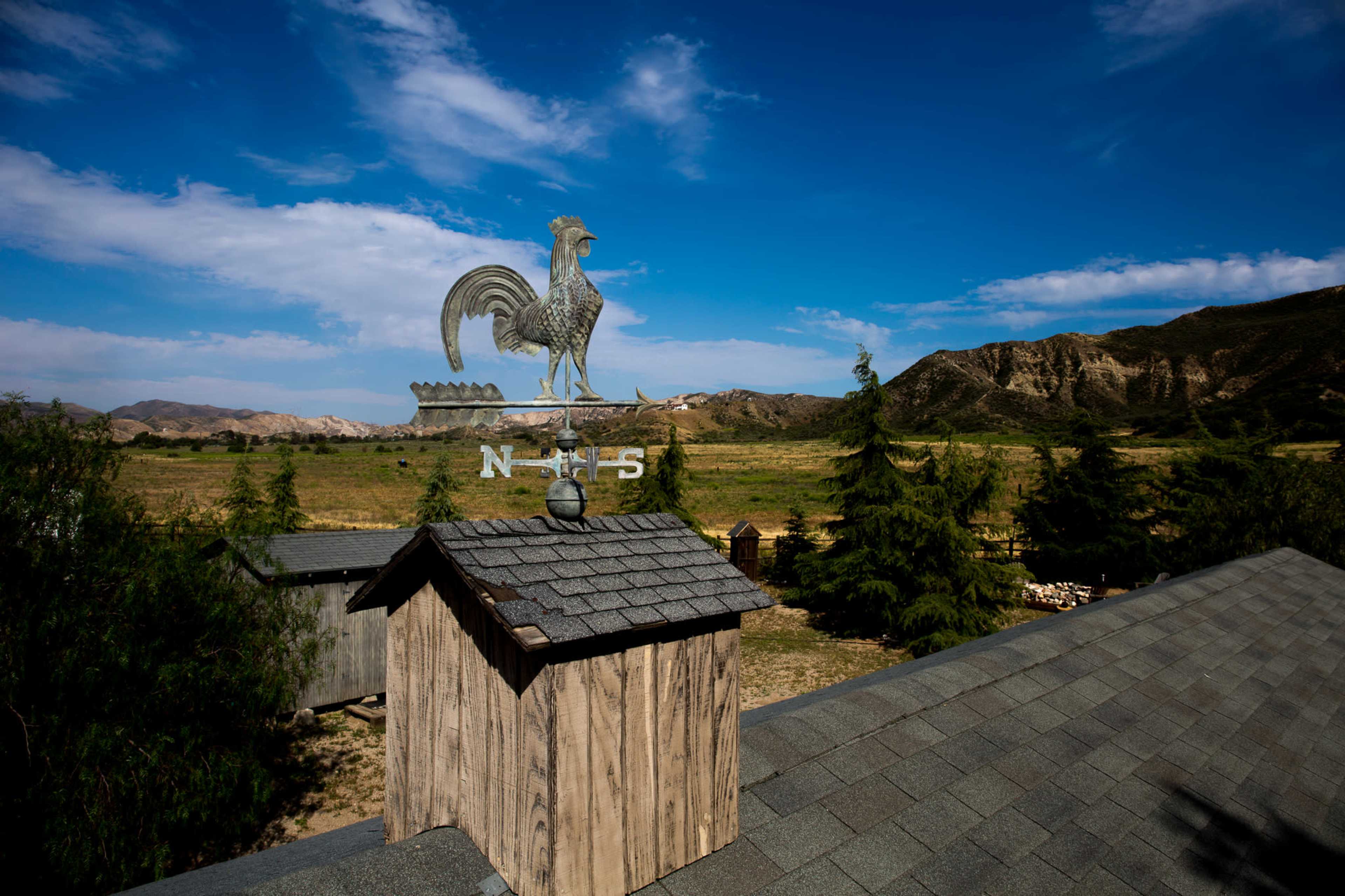 A weather vane shaped like a rooster stands atop a building, overlooking a rural landscape with rolling hills and scattered trees.
