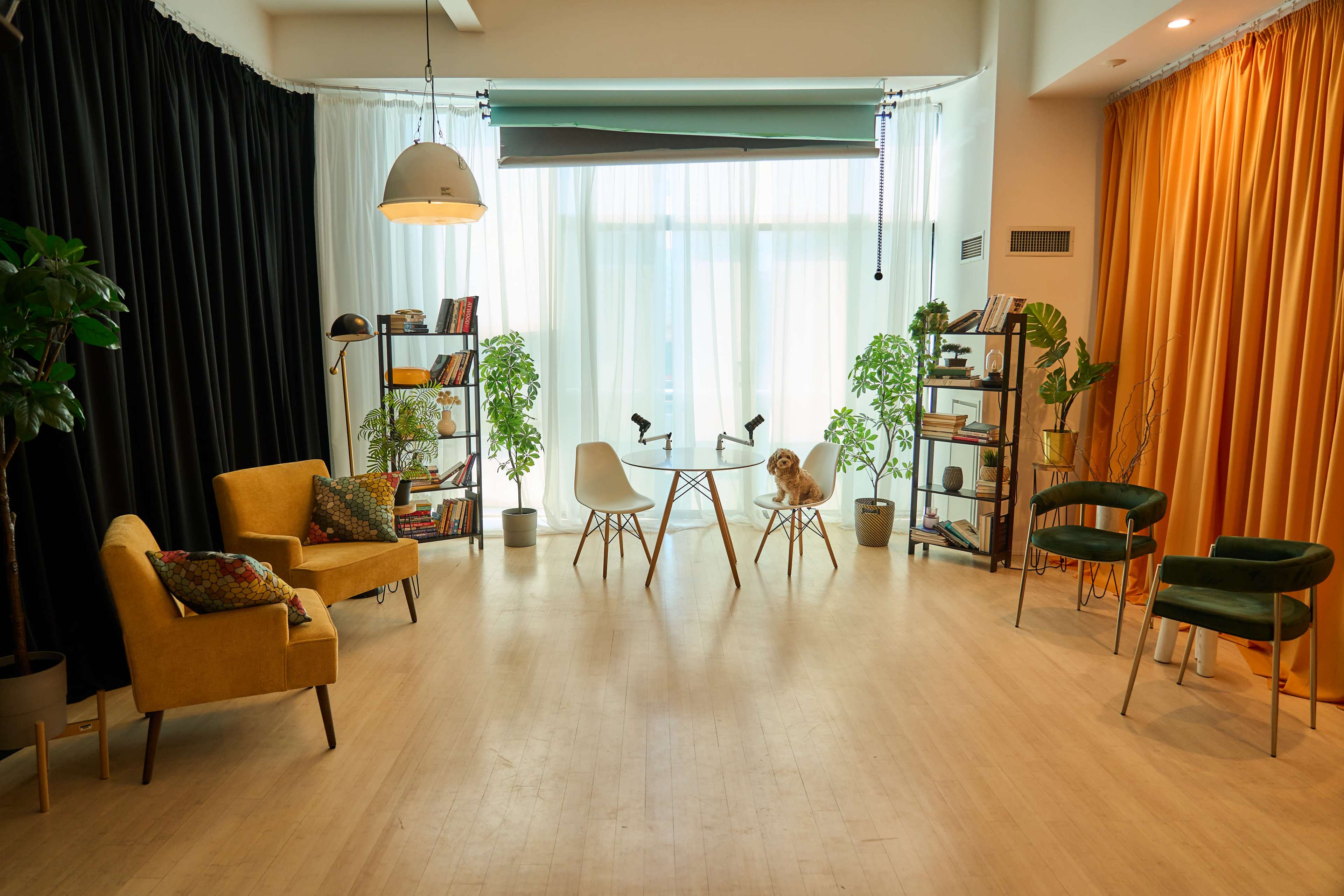 The image features a modern interior space with a round table surrounded by various chairs, bookshelves filled with books, and plants, all set against contrasting black and orange curtains.