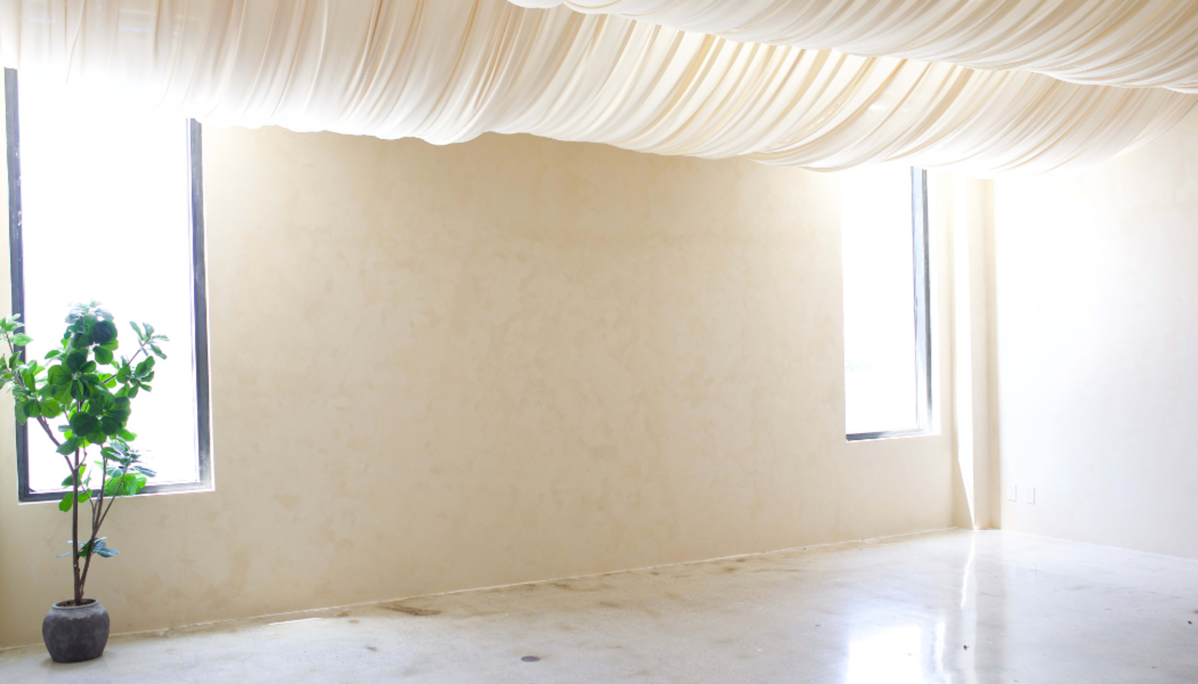 A minimalist room features two large windows and a draped fabric ceiling, with a potted plant in the corner.