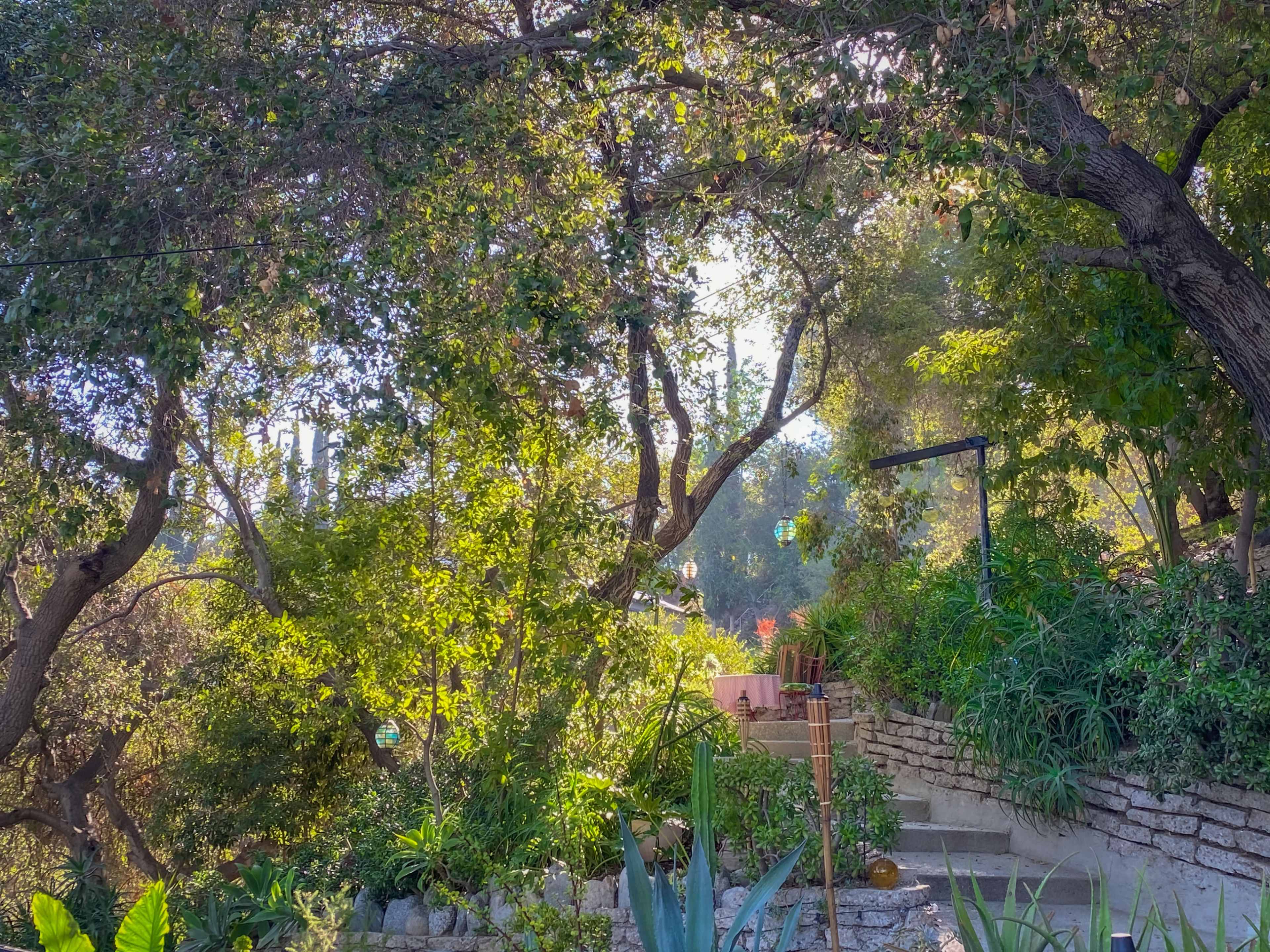 A stone pathway leads through lush greenery and trees to a seating area in a garden.