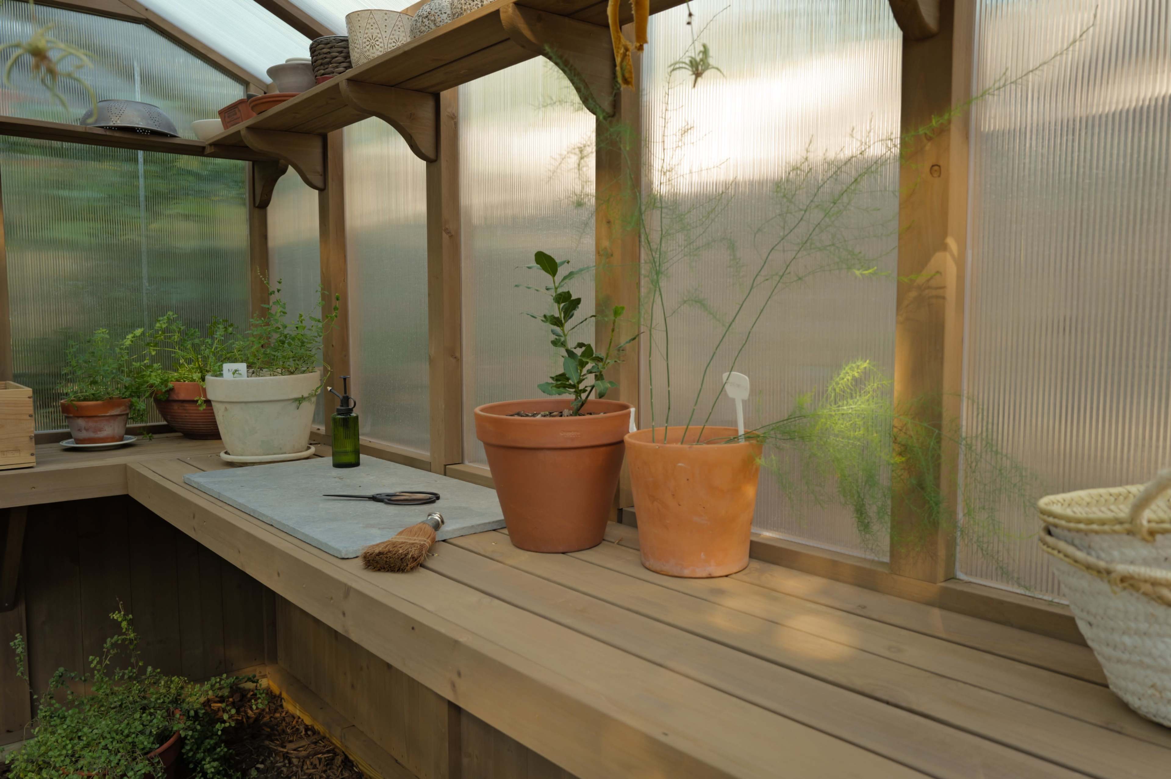 A wooden greenhouse interior features potted plants on a wooden shelf, with gardening tools and a broom on the surface.