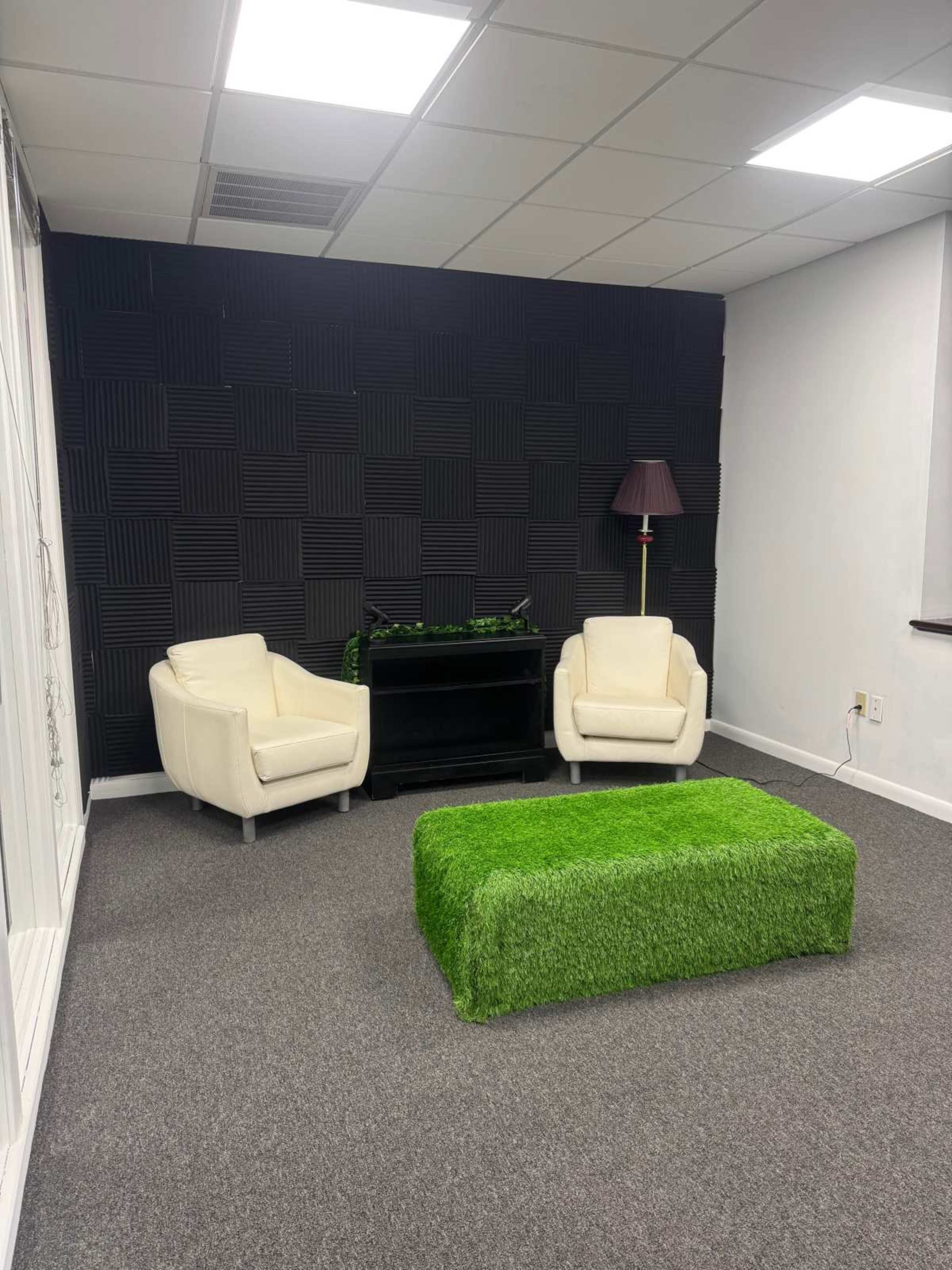 The image shows a modern room with two white upholstered chairs, a black cabinet, and a green, grass-like ottoman, all set against a textured black wall.