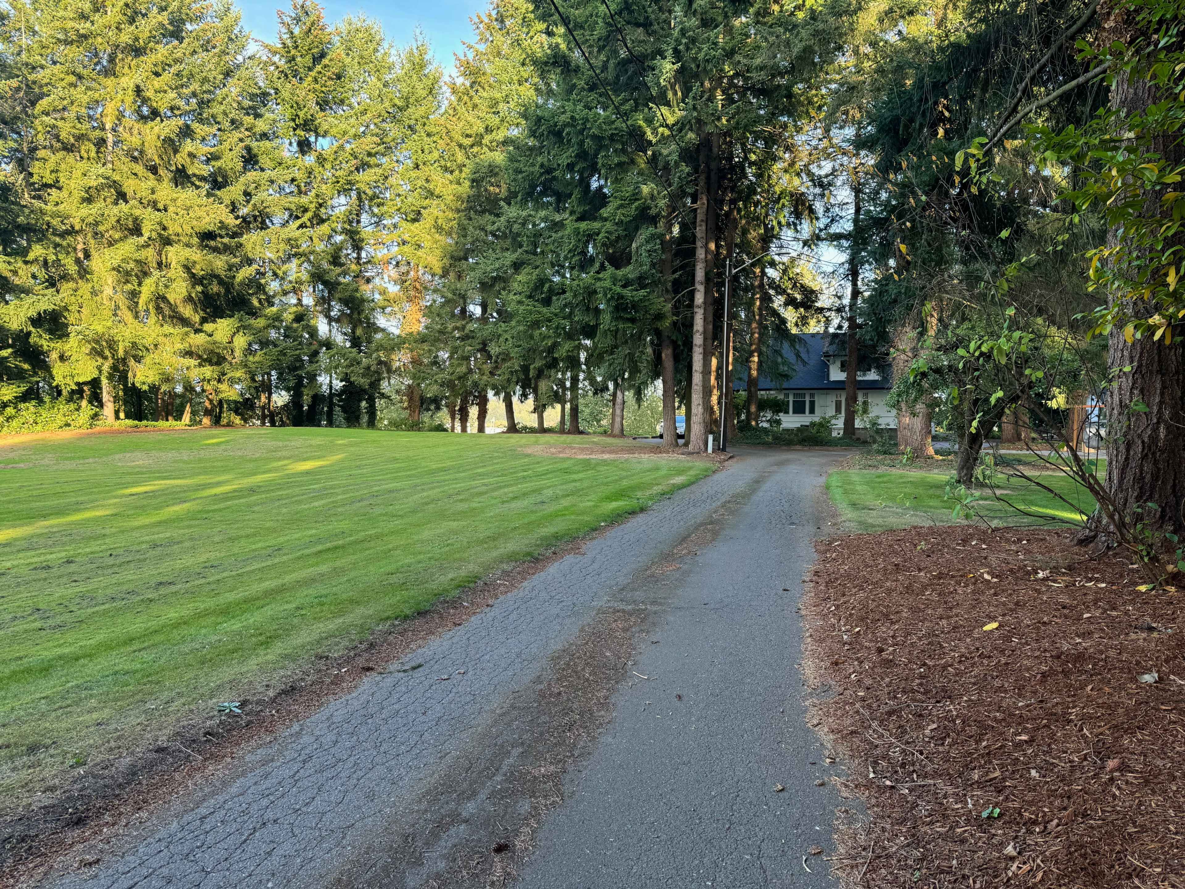 A narrow driveway lined with trees leads to a house set back from the road in a grassy area.