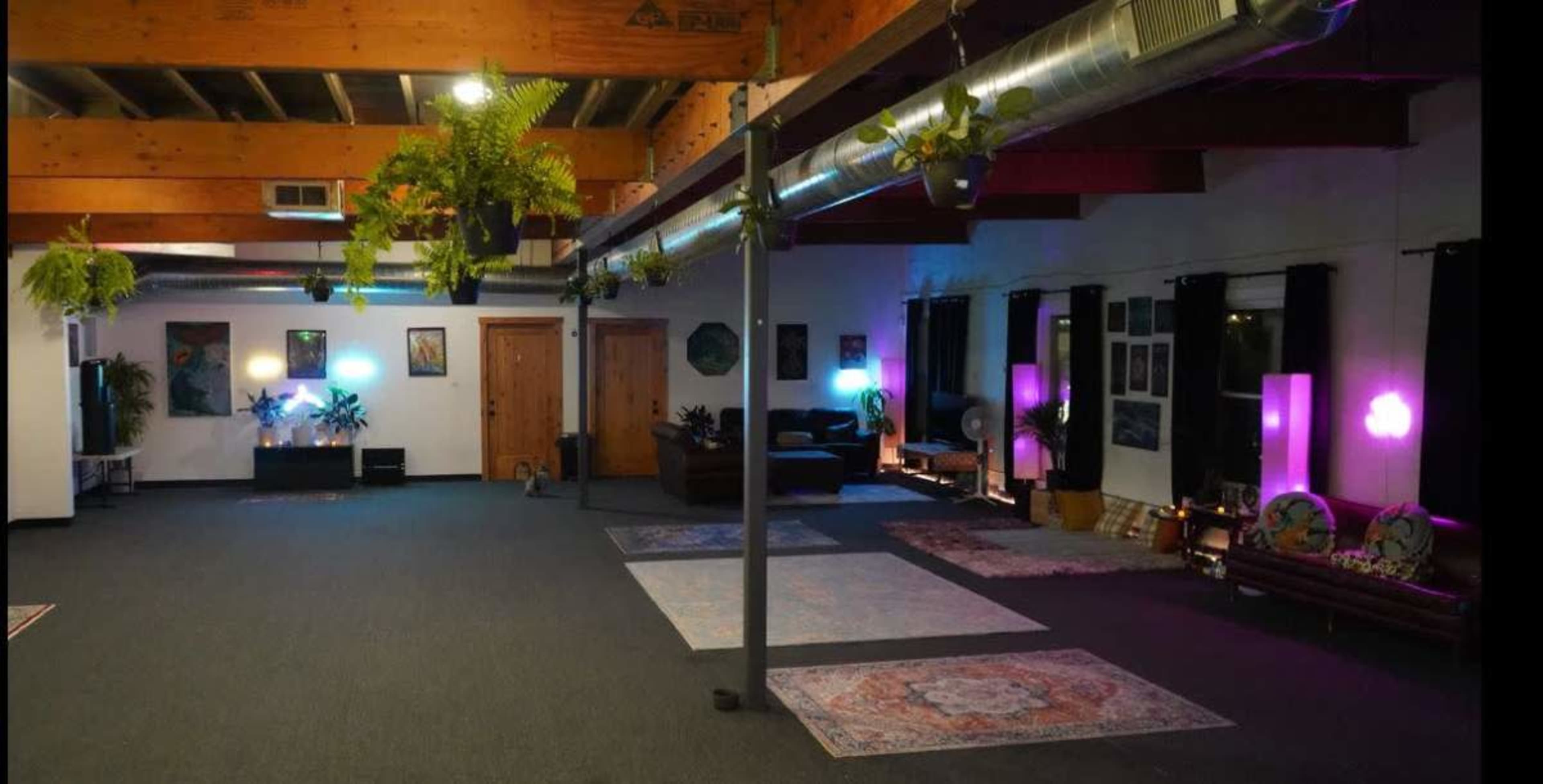 Curious Cat Lounge Image in Englewood, Englewood, CO