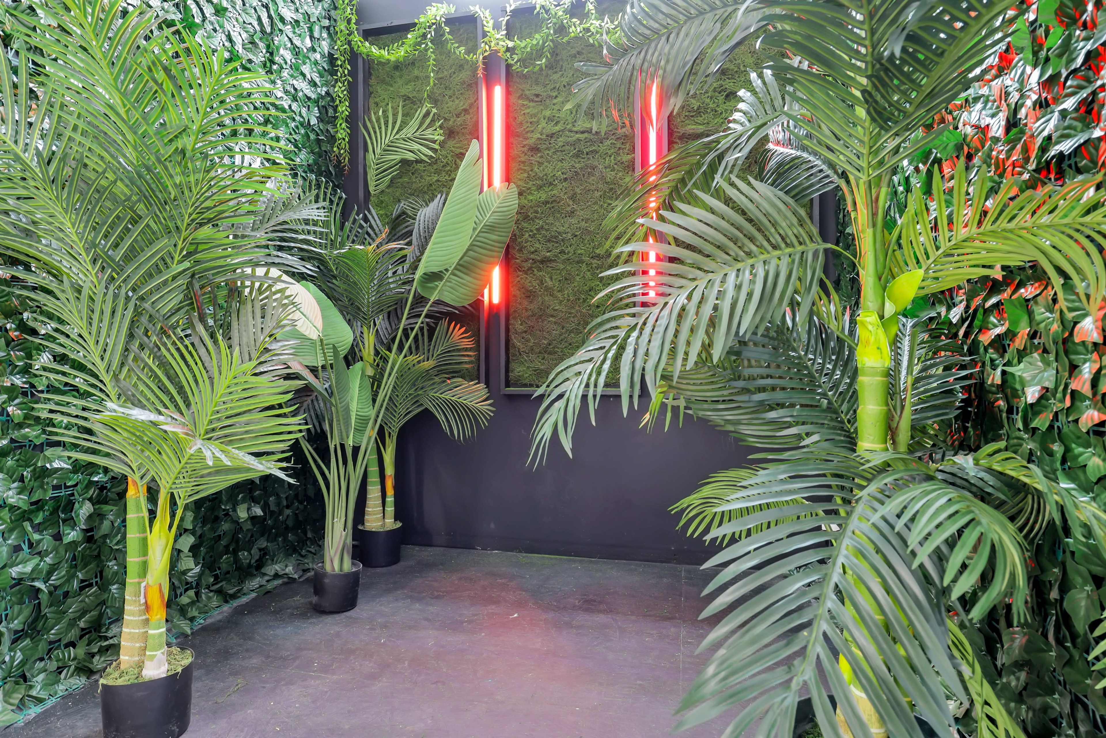 A small indoor space filled with large potted palm plants against a backdrop of green foliage and neon red lights.