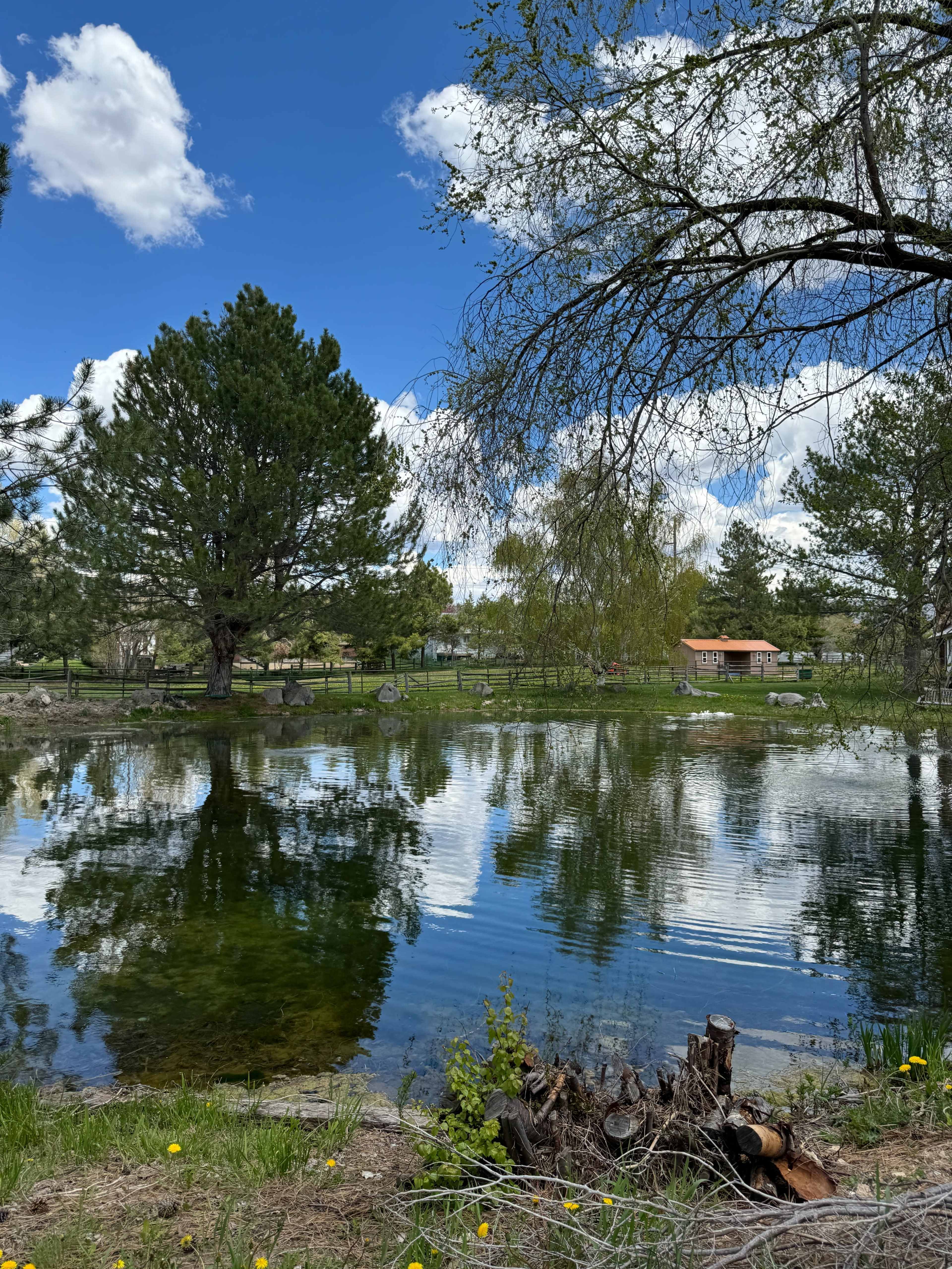 Midway Farm with Scenic Pastures, Pond, and Barn Image in , Midway, UT