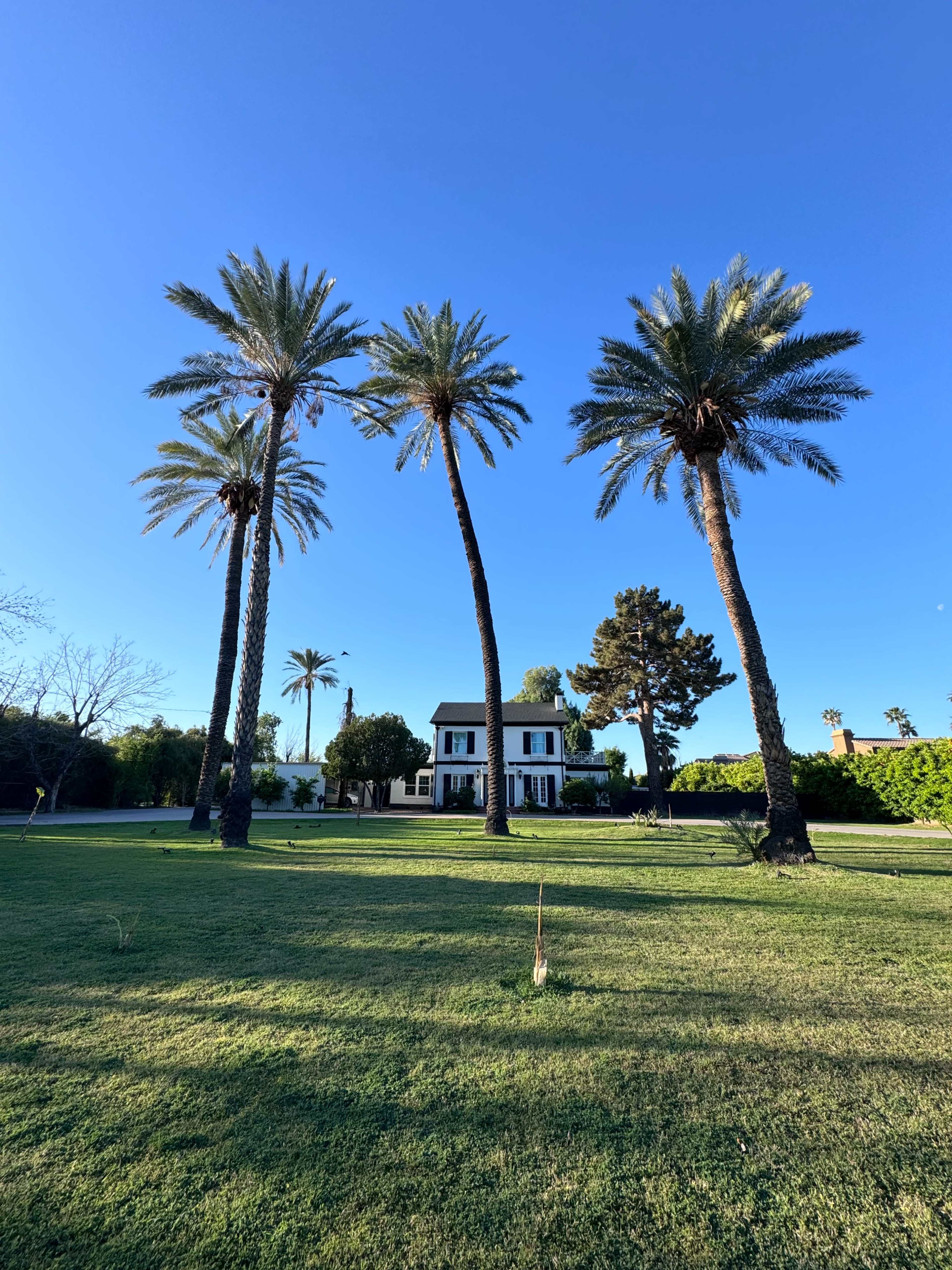 Charming & Prestigious Estate in Uptown/Central Phoenix Image in North Mountain Village, Phoenix, AZ