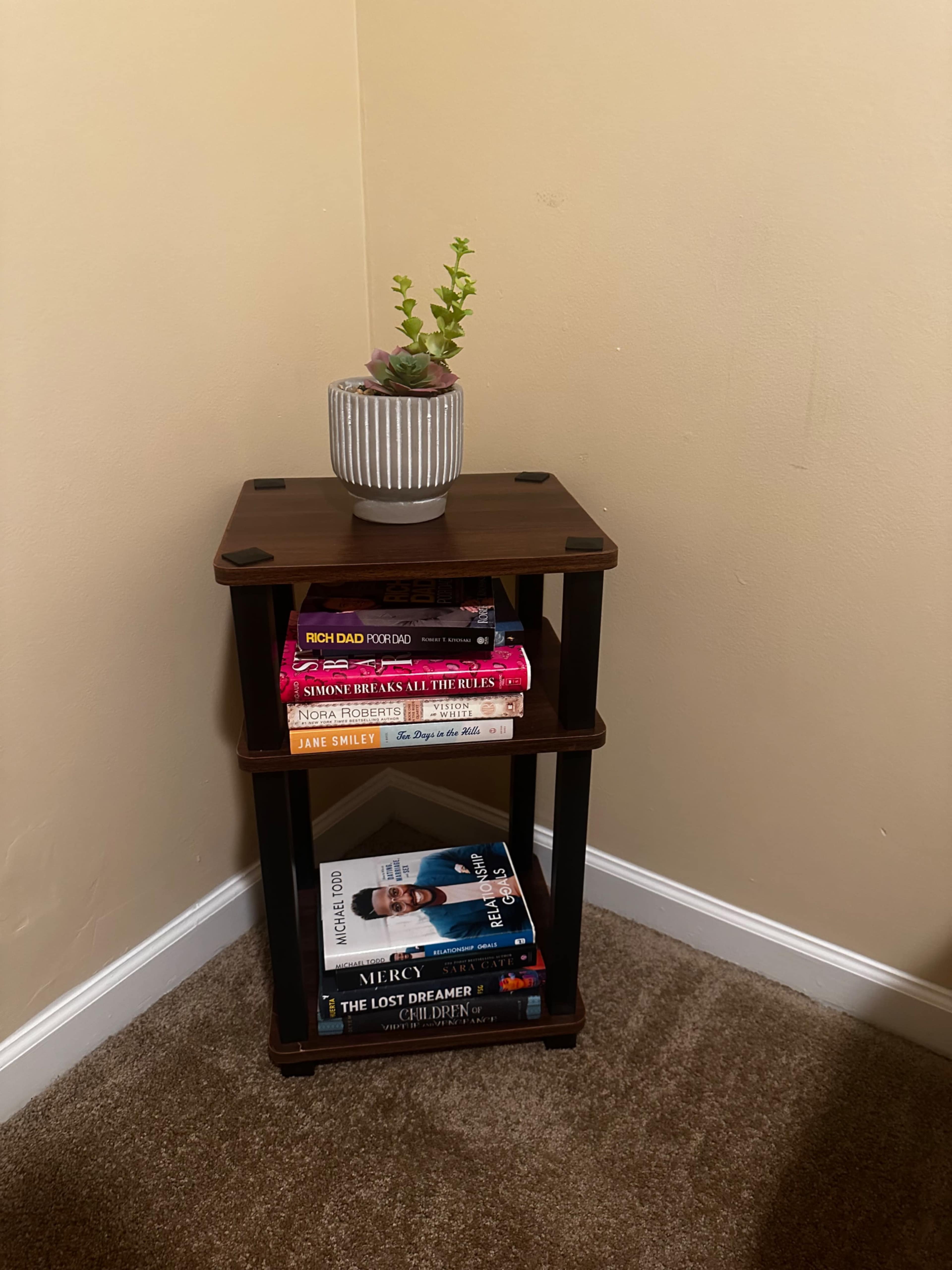 A wooden bookshelf with two shelves holds a selection of books, topped with a potted plant in a decorative container.
