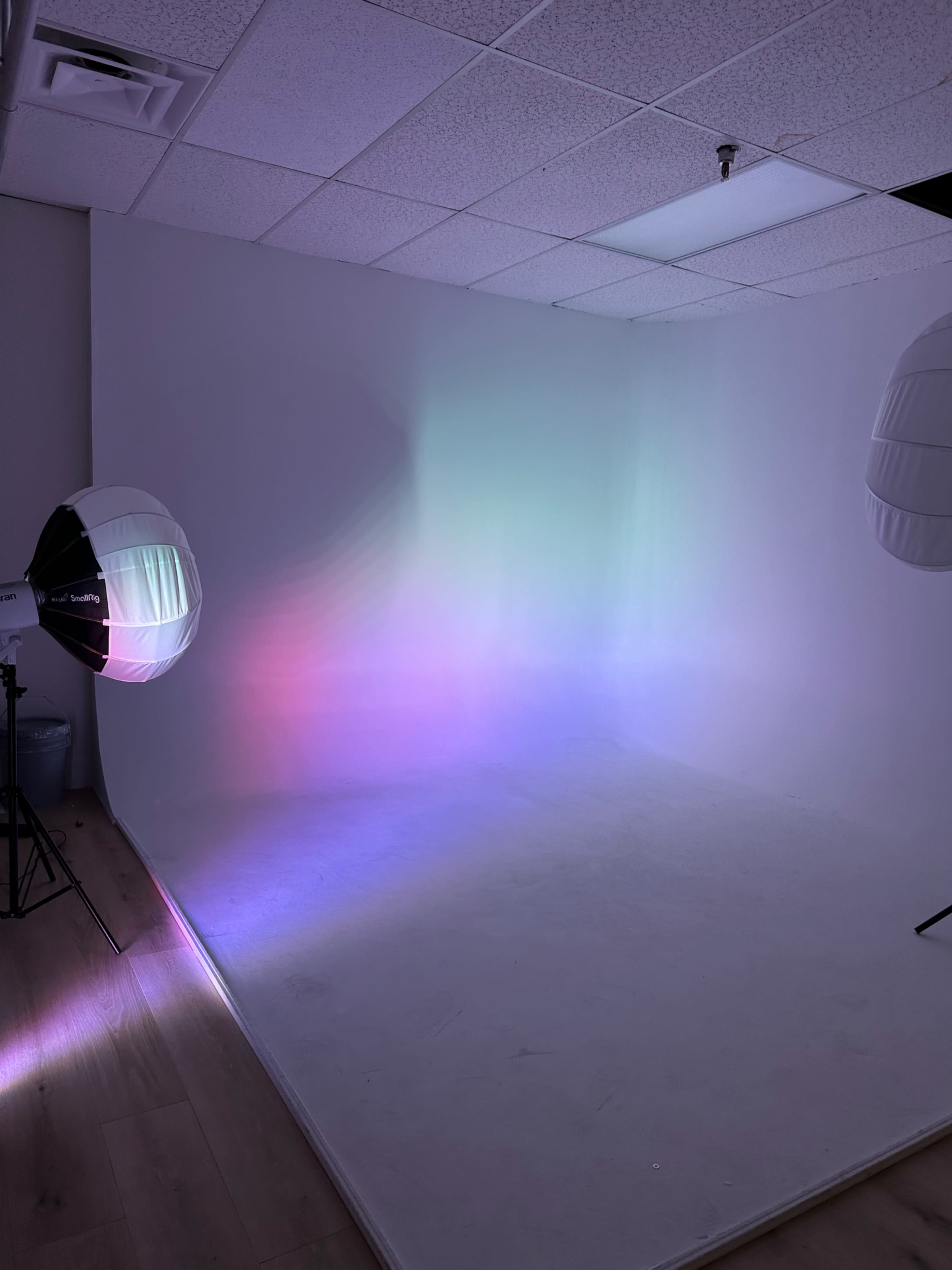 The image shows a photography studio with a white backdrop illuminated by colored lights and two softbox lights positioned on either side.