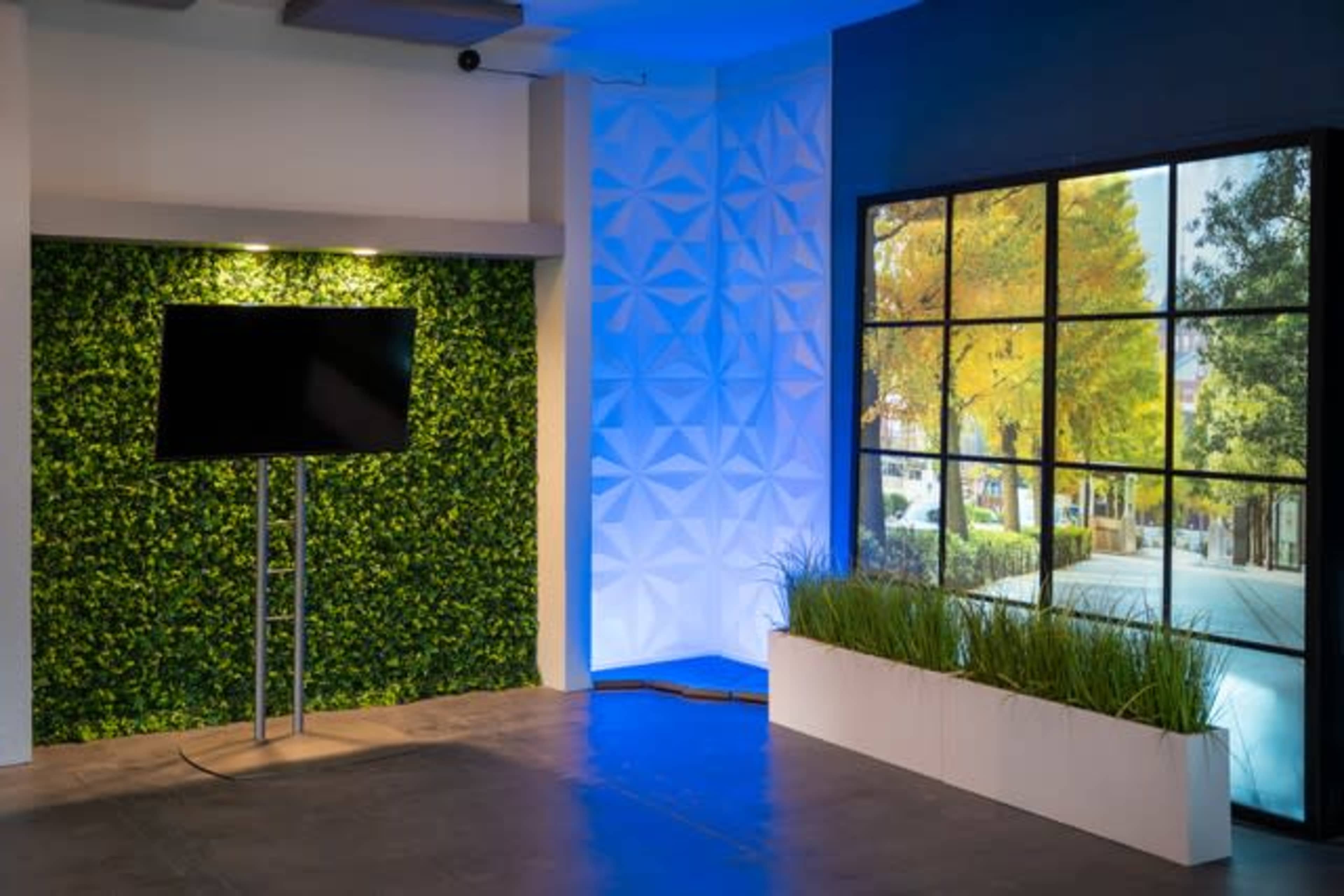 A modern interior space featuring a television mounted on a stand next to a green wall and a large window display with an outdoor scene.