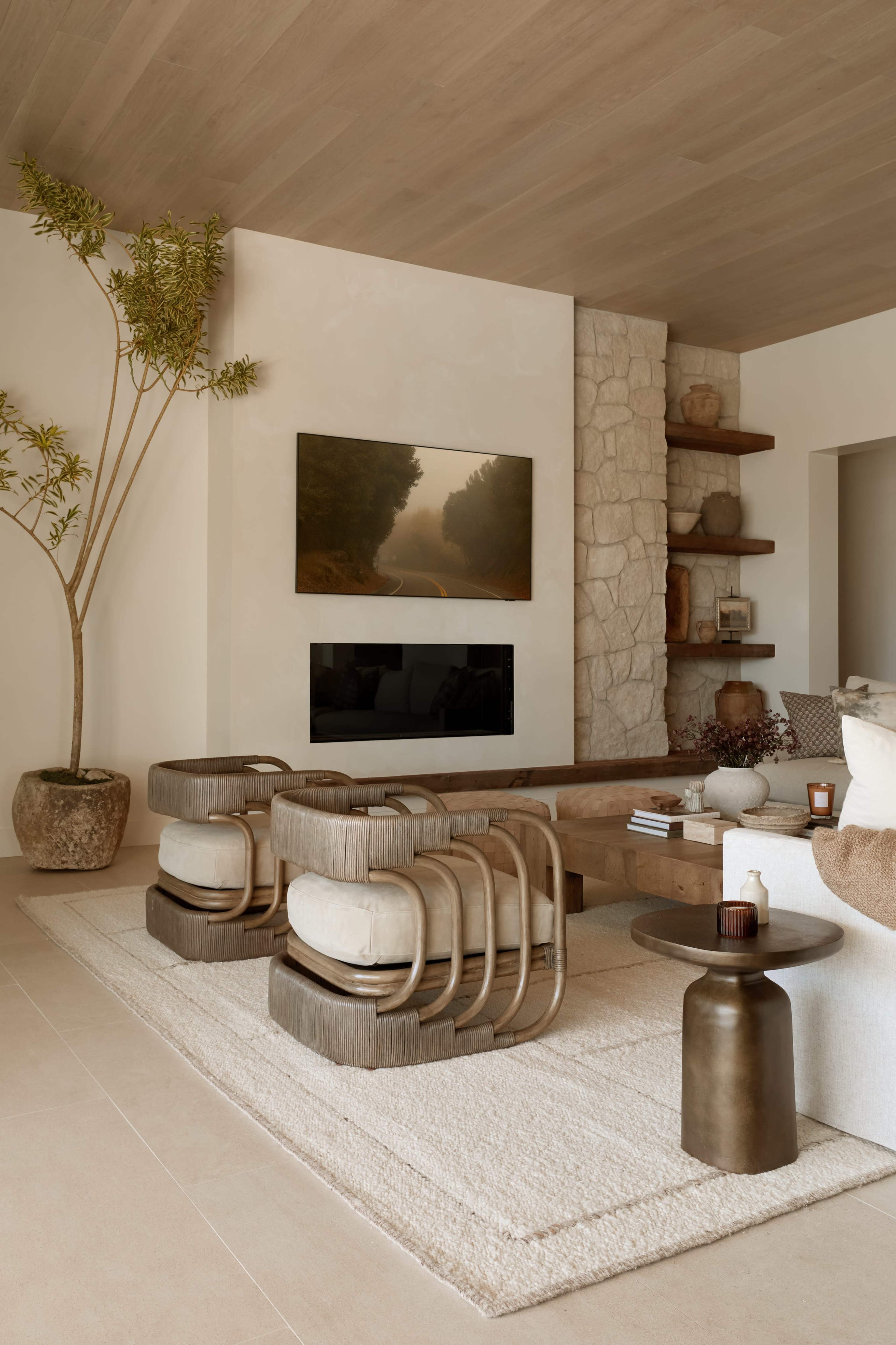 The image shows a modern living room featuring two curved chairs, a wooden coffee table, and a wall-mounted television above a stone fireplace, with a tall potted plant in the corner.