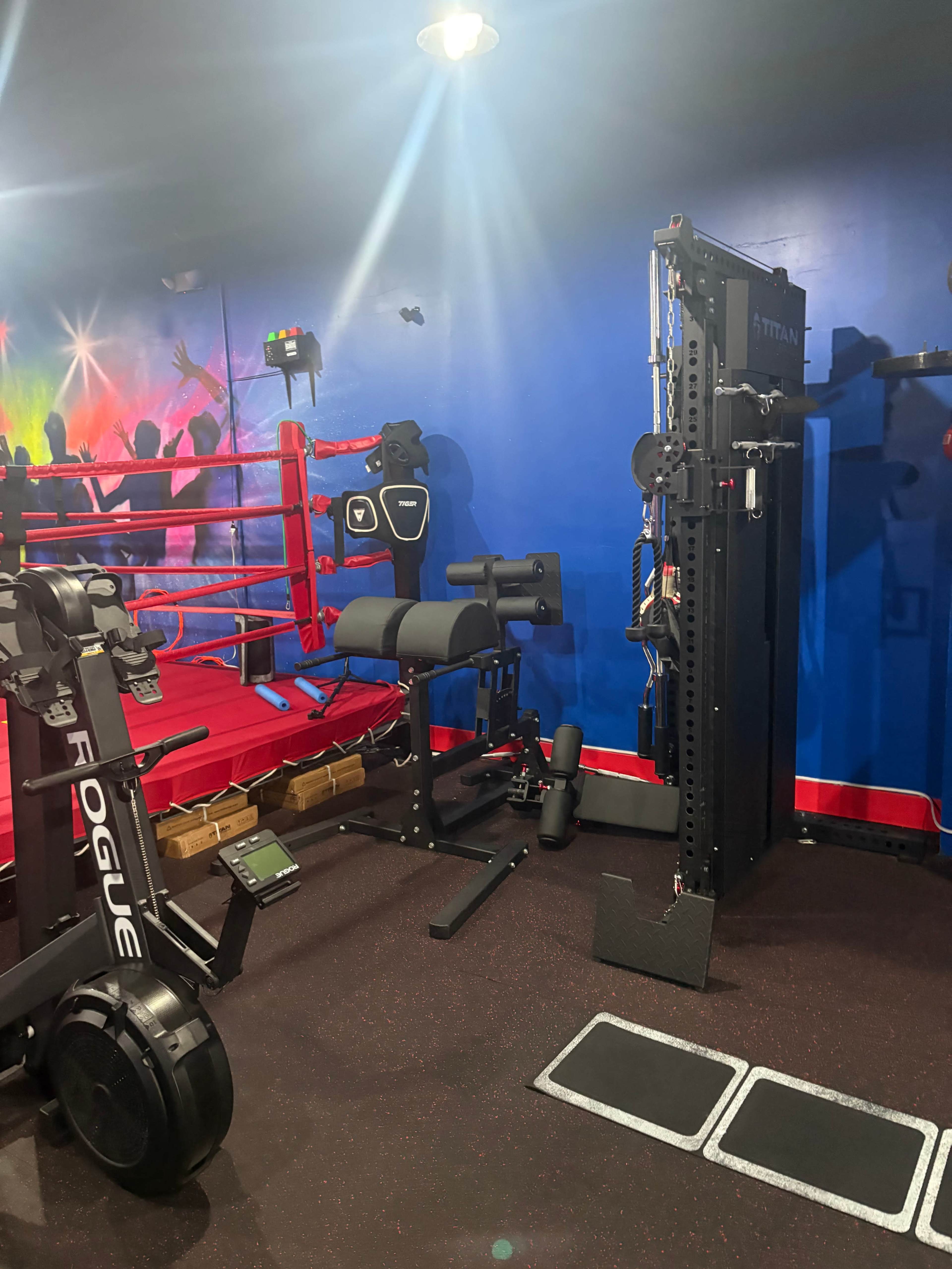 The image shows a gym interior featuring a rowing machine, weight bench, cable machine, and boxing ring, all set against a vibrant blue wall.