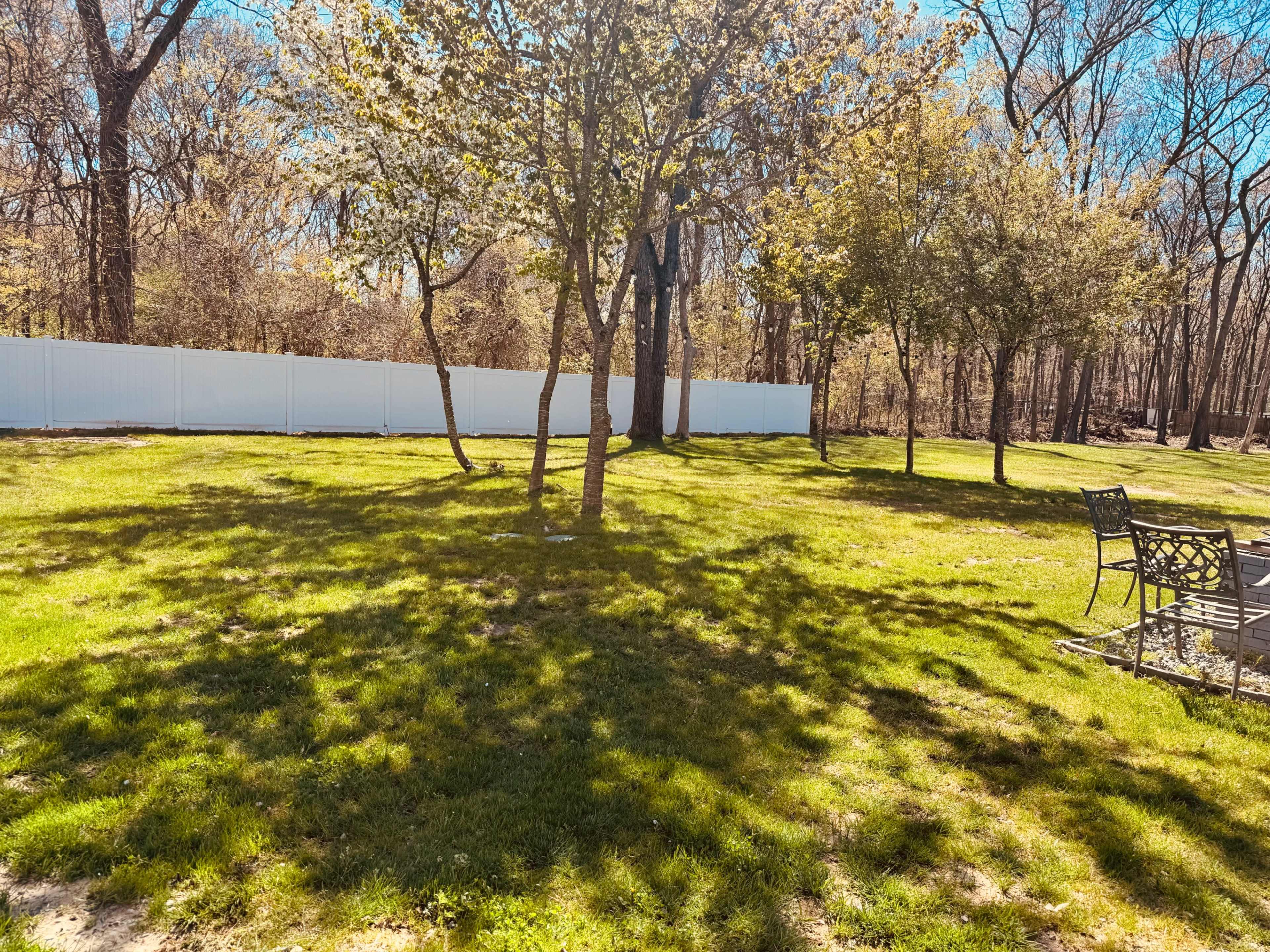 A grassy area with several trees casting shadows, bordered by a white fence and surrounded by bare trees in the background.