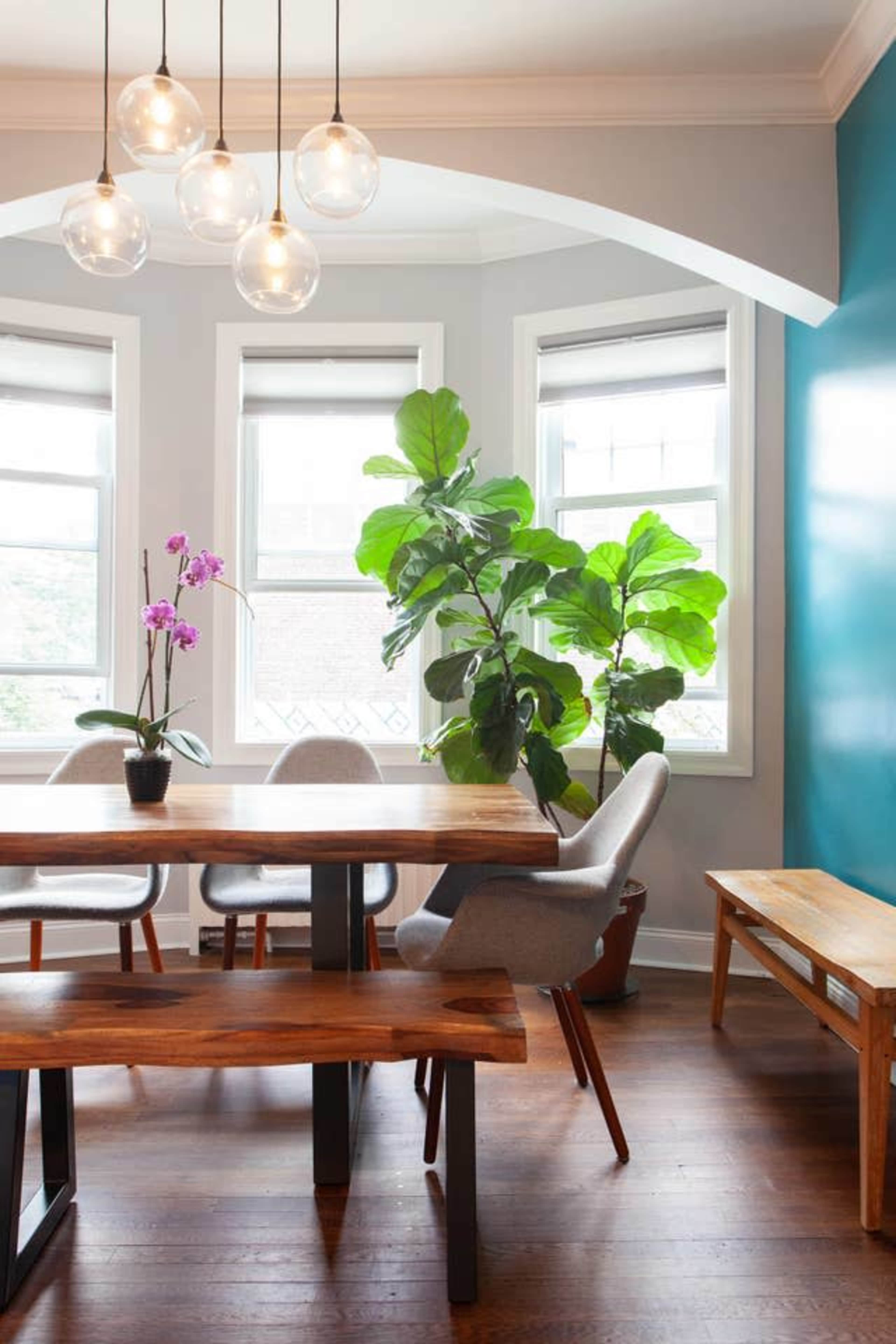 A dining area features a wooden table, two upholstered chairs, a bench, large potted plants, and pendant lights above large windows.