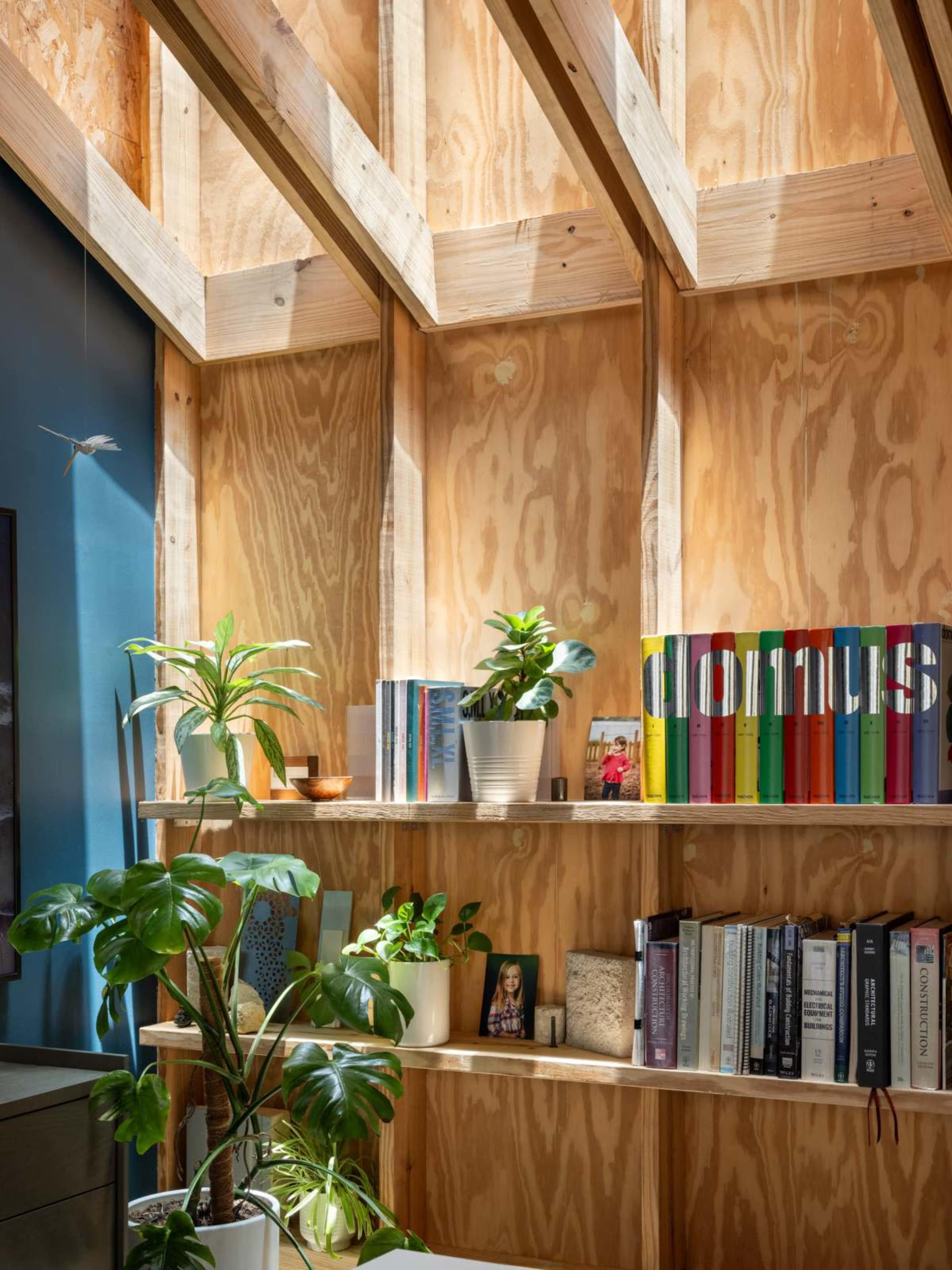 The image features a wooden interior with shelves displaying books, plants, and decorative items in a well-lit space.
