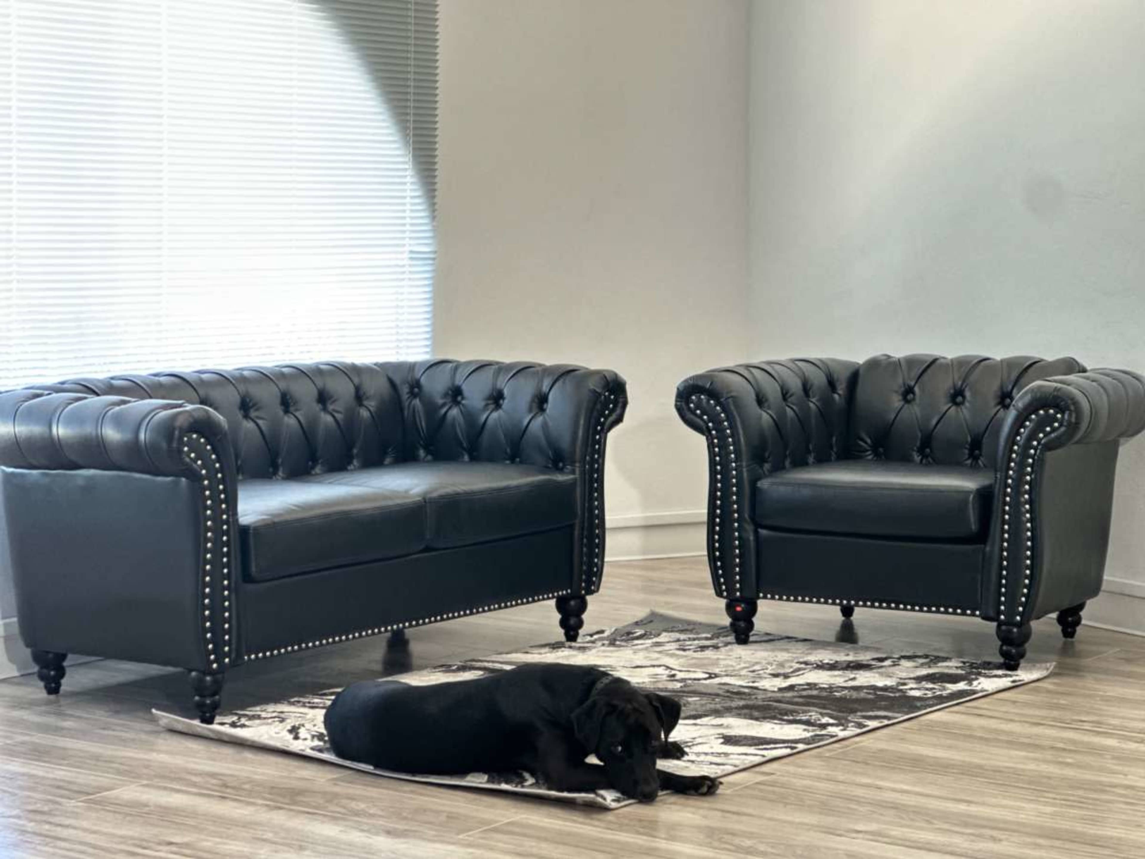A black leather sofa and armchair set are positioned on a rug next to a dog lying on the floor.