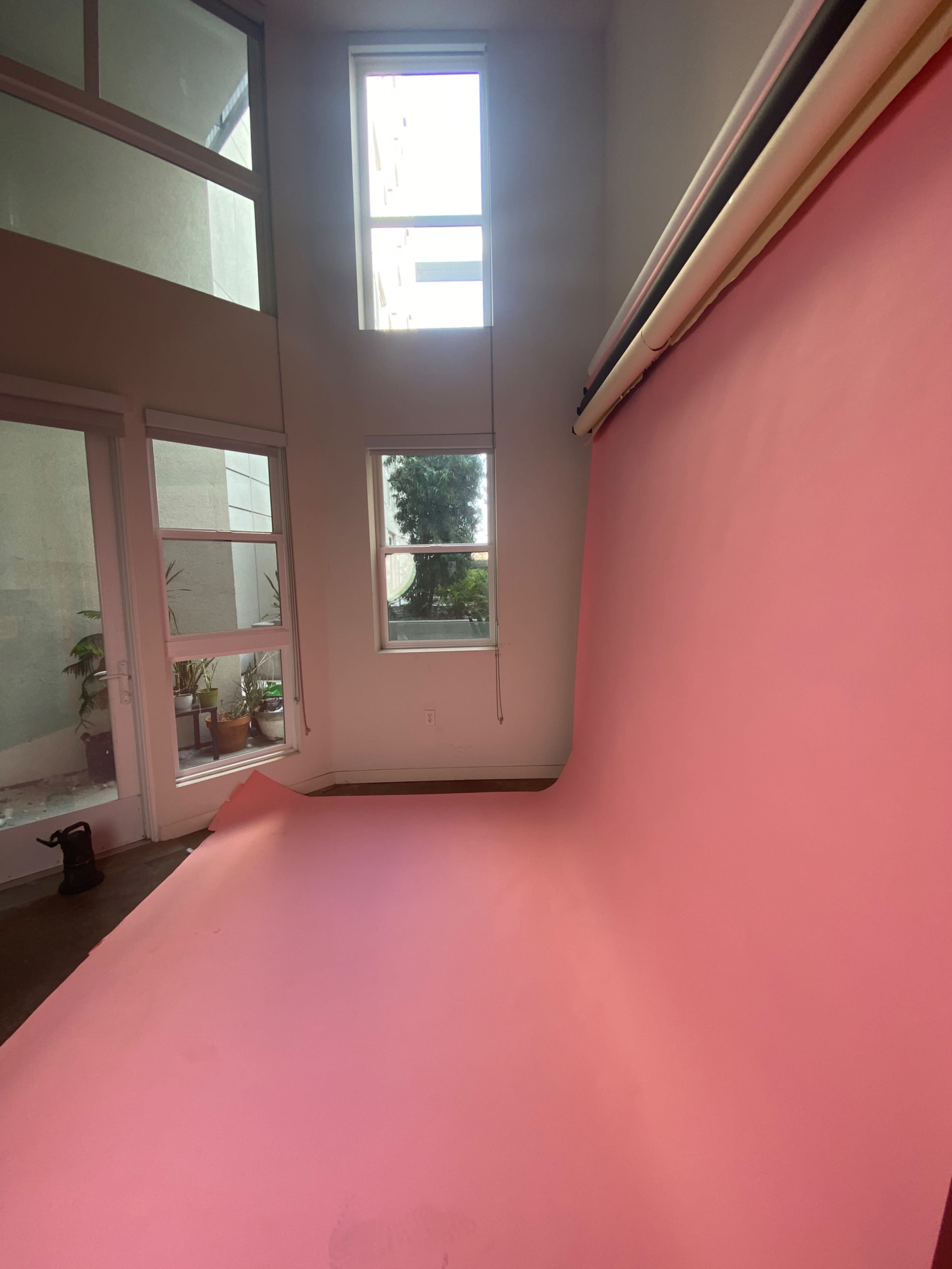 A photography studio features a large pink backdrop and tall windows allowing natural light to enter.
