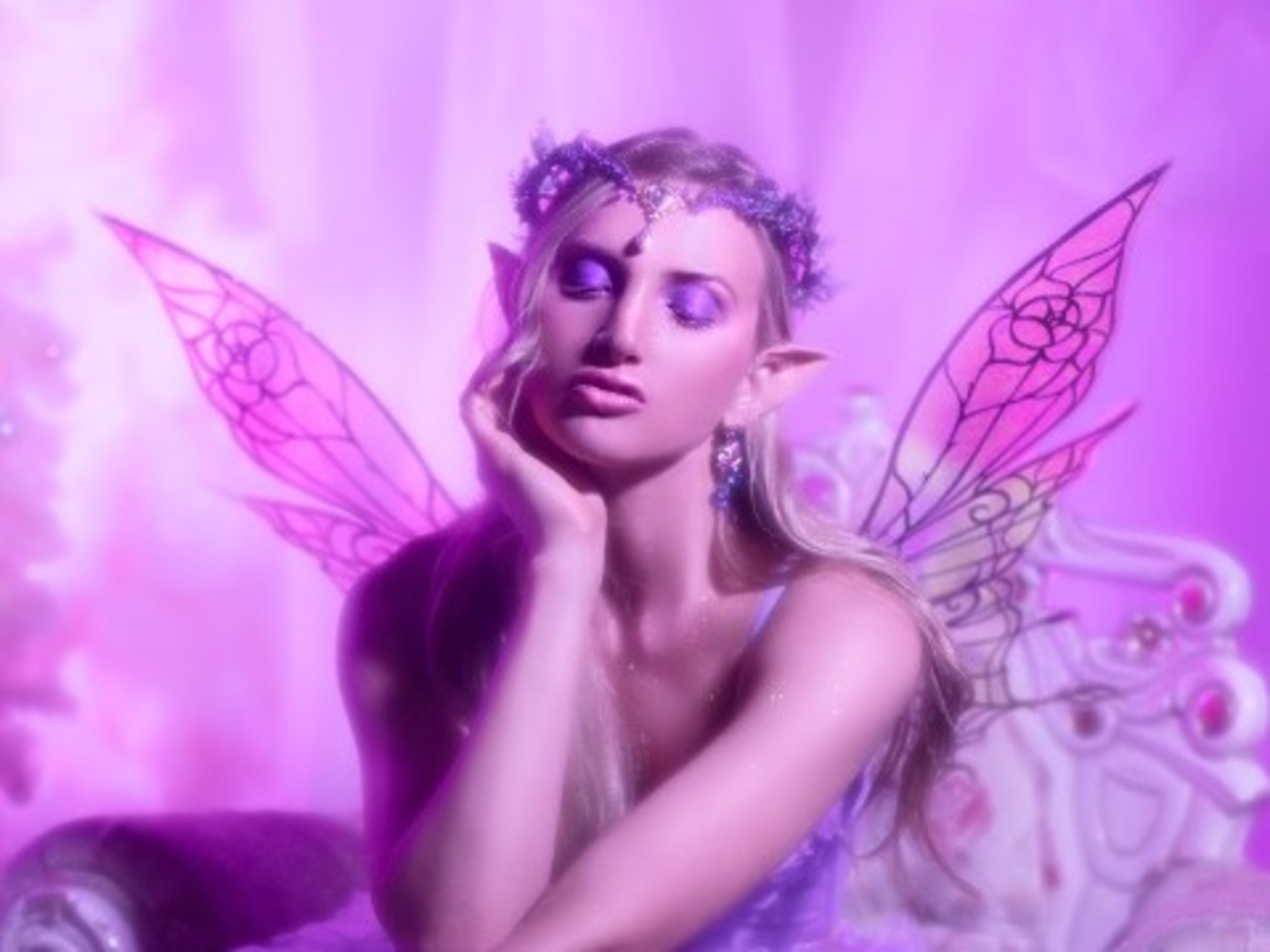 Rose Detail Fairy Wings