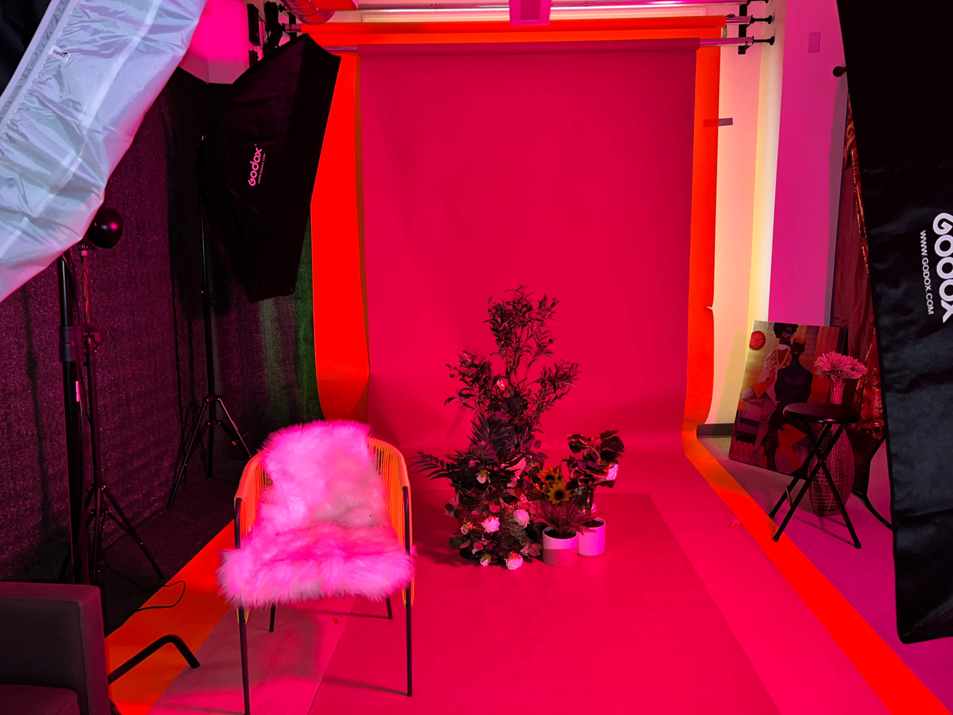 The image shows a photography studio with a pink backdrop, a chair with a faux fur cover, potted plants, and various lighting equipment.