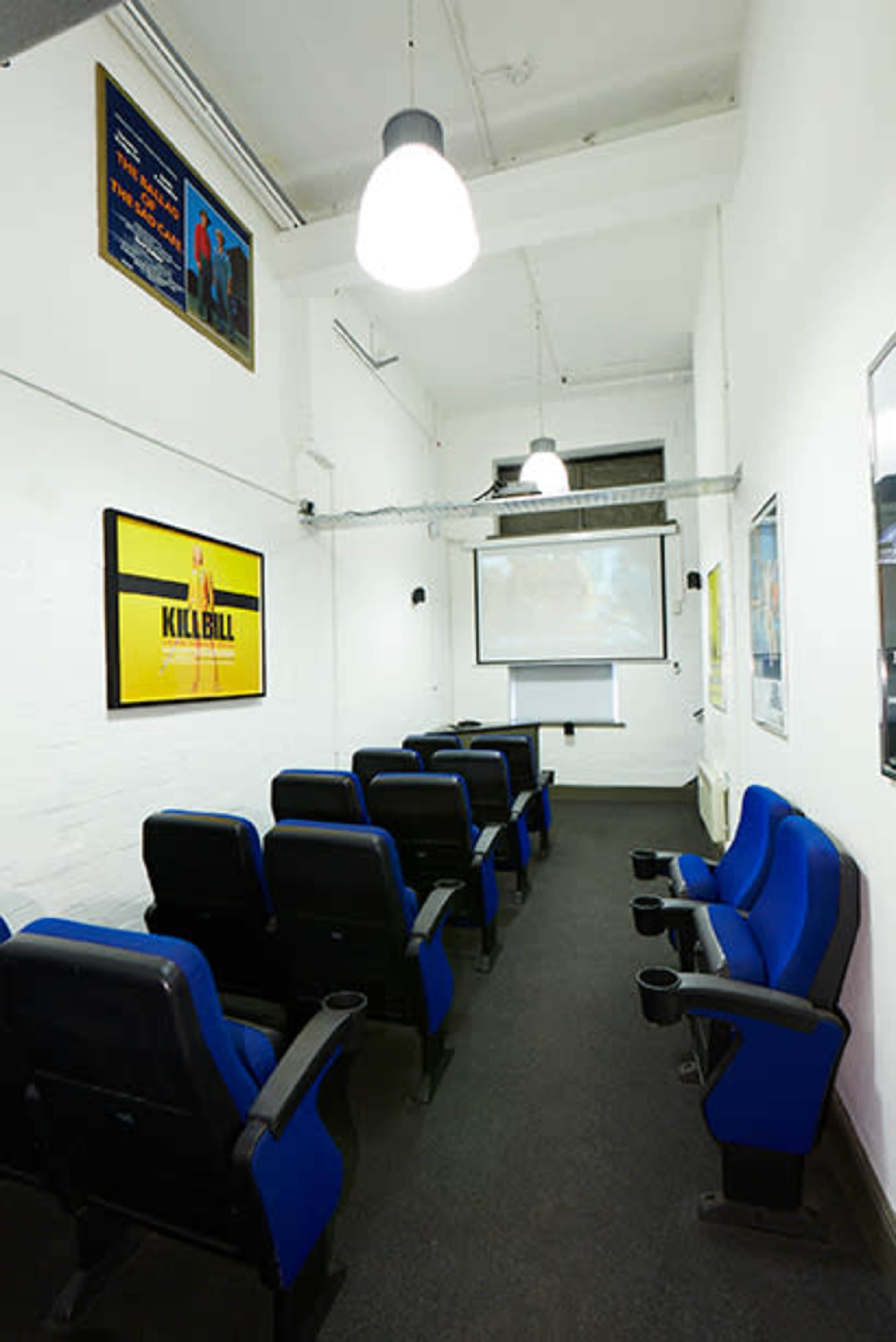 A small, dimly lit screening room with blue theater chairs facing a projection screen and movie posters on the walls.