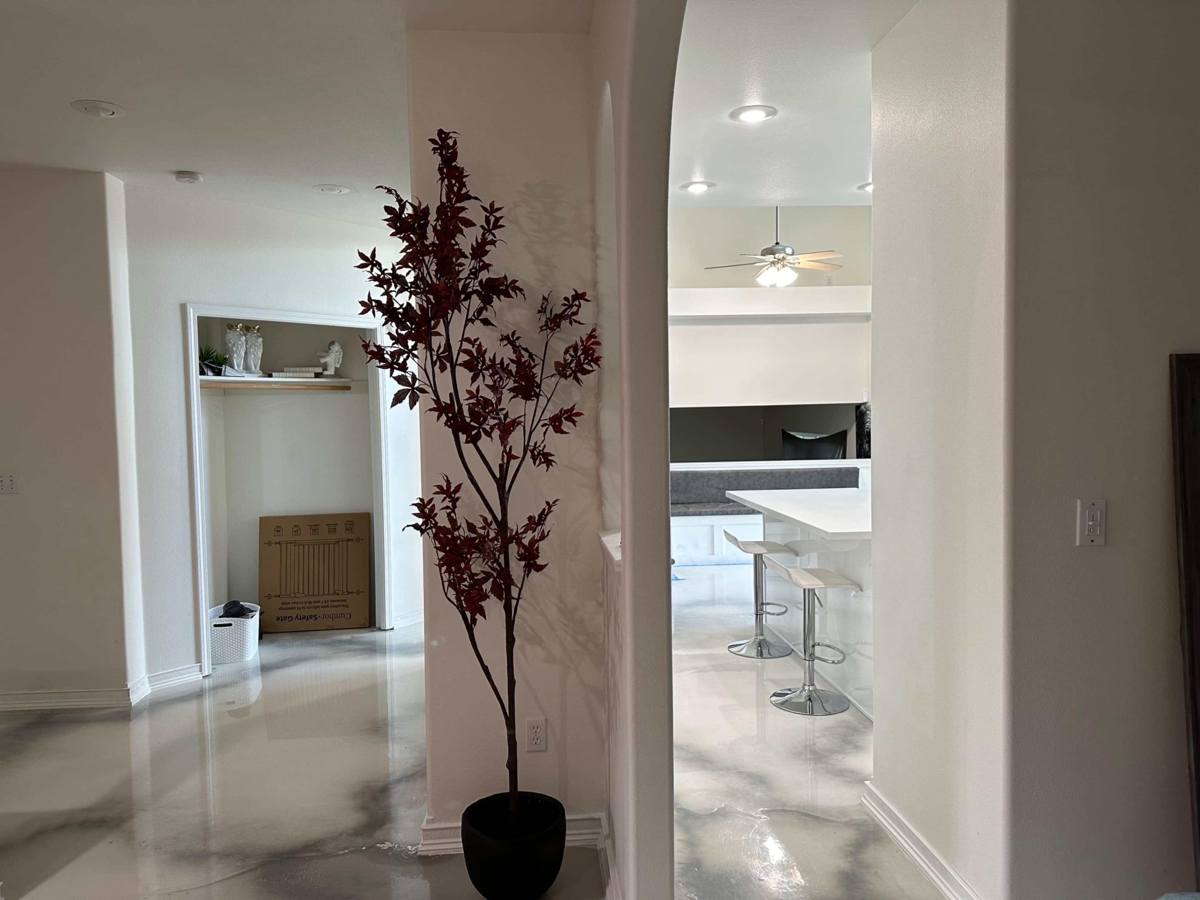 A modern interior space with a potted plant on the left and a kitchen area visible in the background on the right.