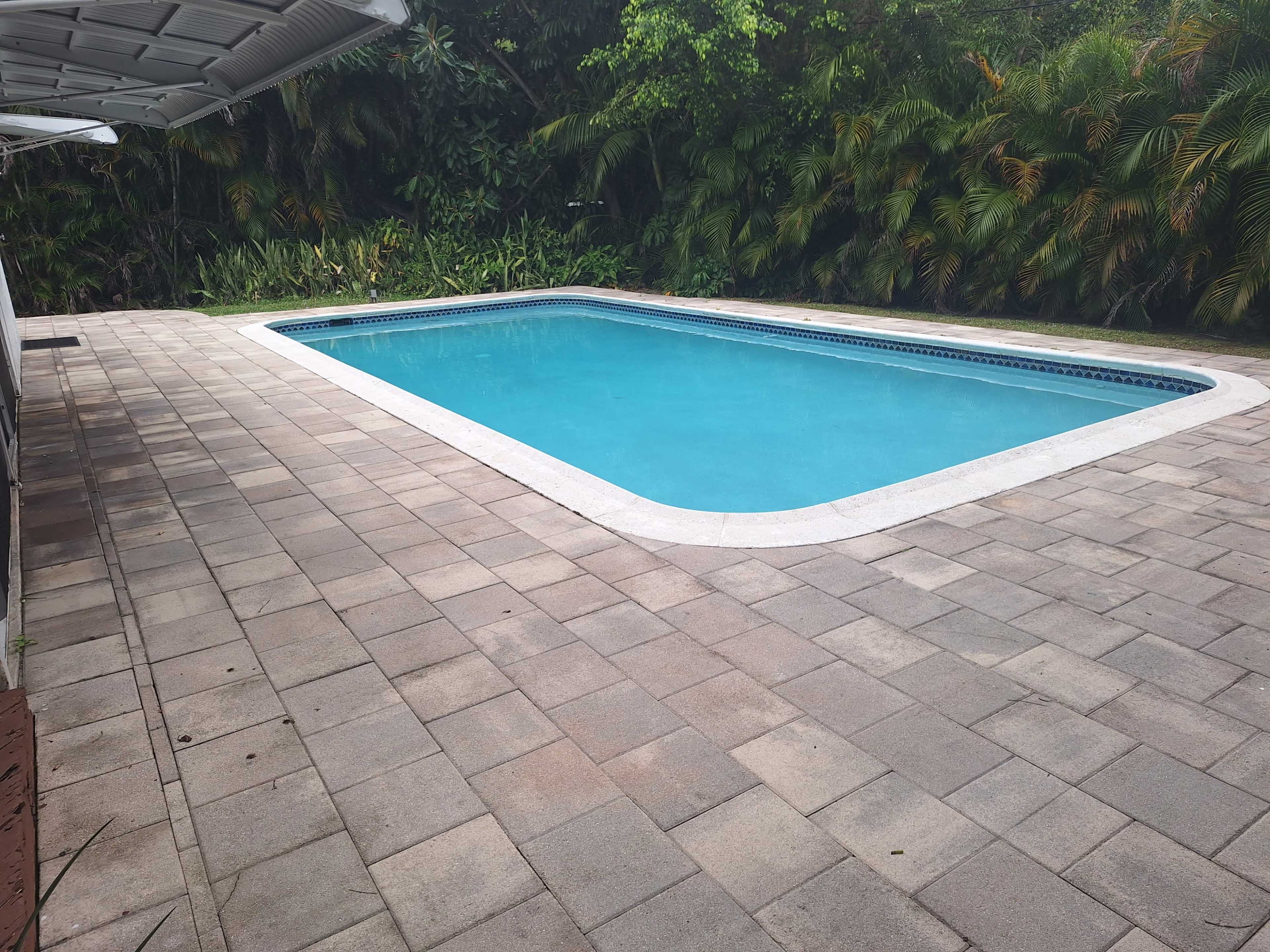 A rectangular swimming pool with blue water is surrounded by a paved patio and tropical greenery.