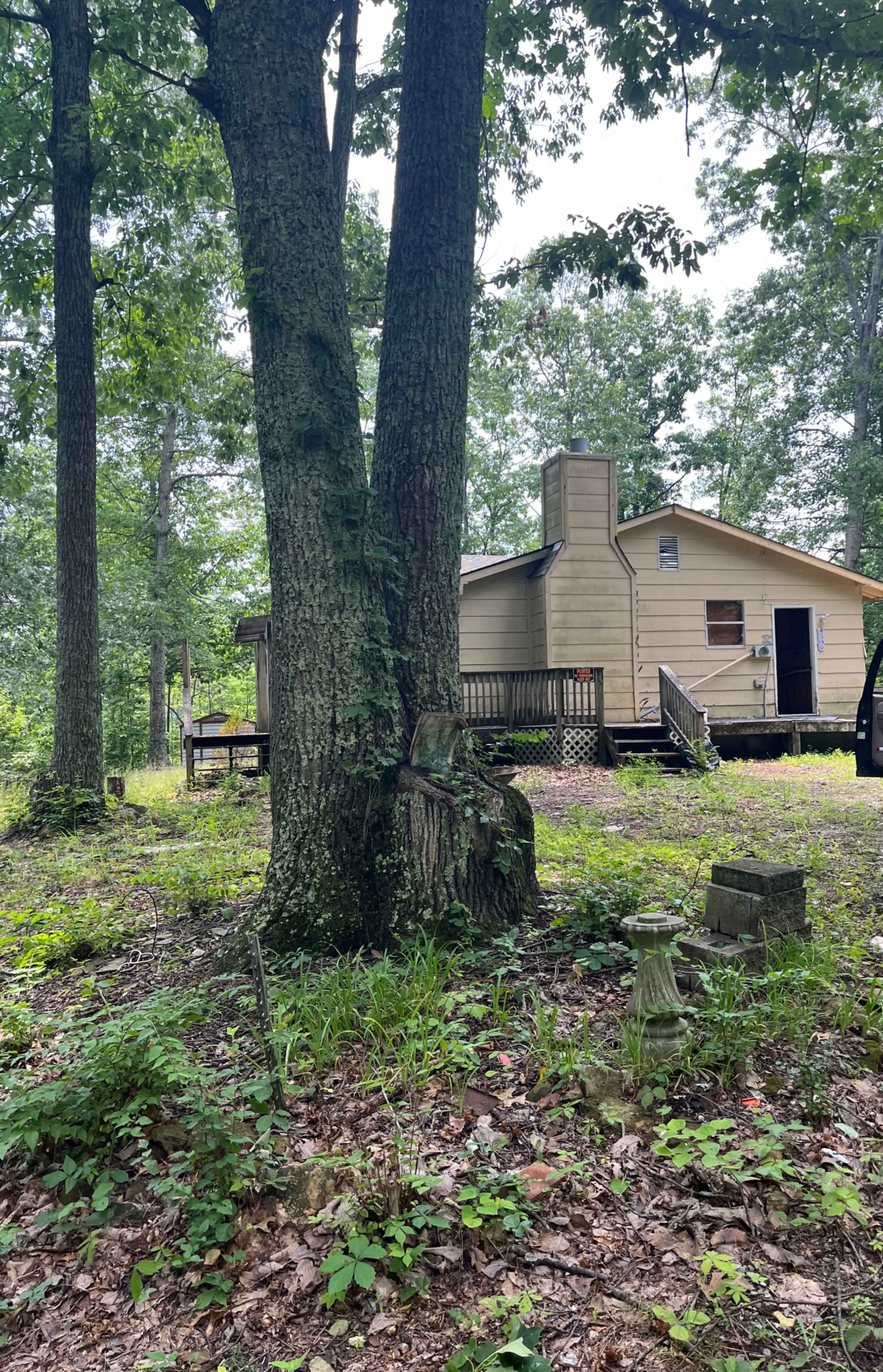 A single-story house with a wooden deck is situated in a wooded area surrounded by trees and foliage.