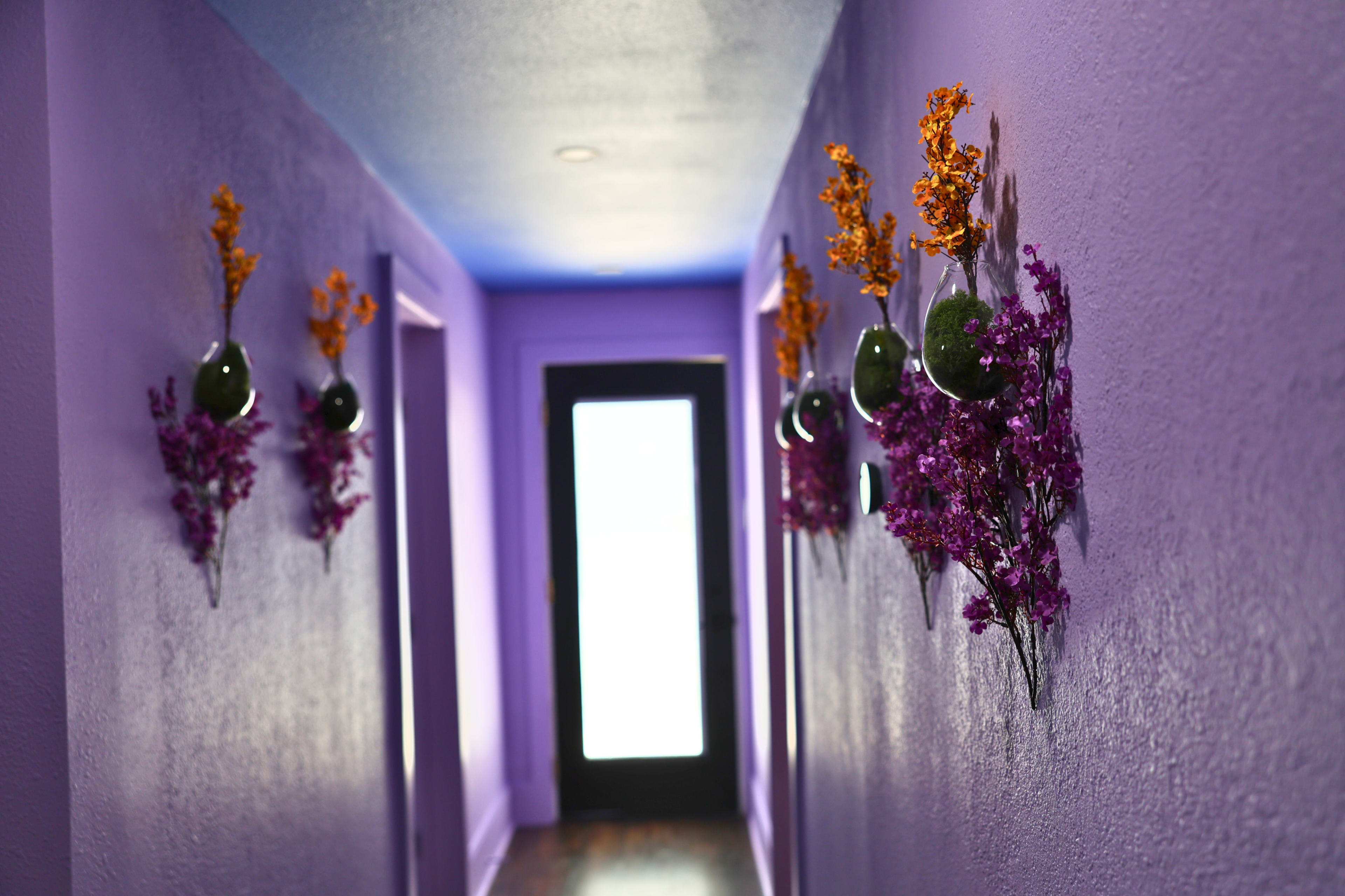 A purple hallway features wall-mounted vases with colorful flowers and a black door at the end.